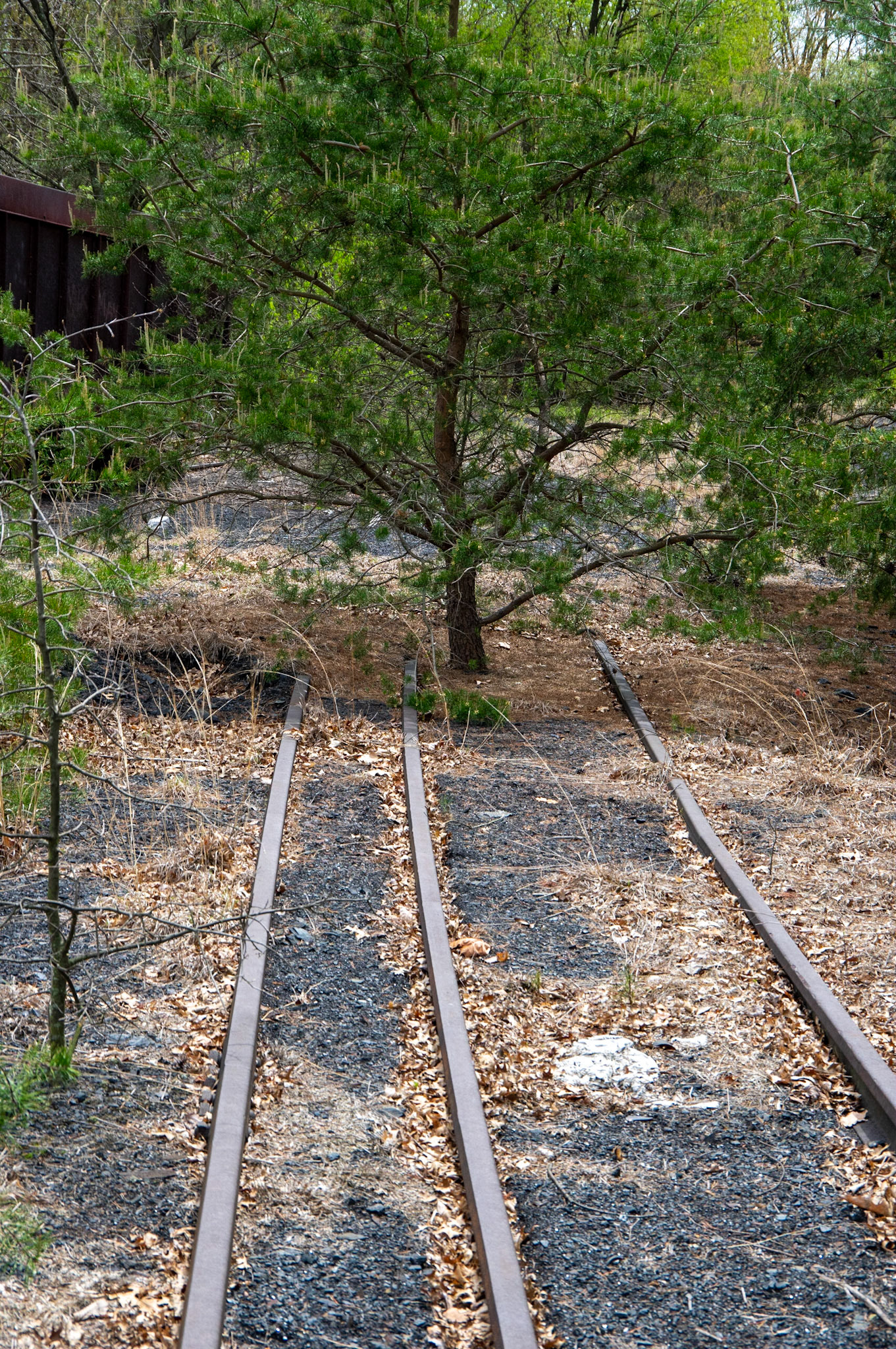 Abandonded East Broad Top narrow-gauge cars in Mt. Union, Pa. on April 23, 2017.