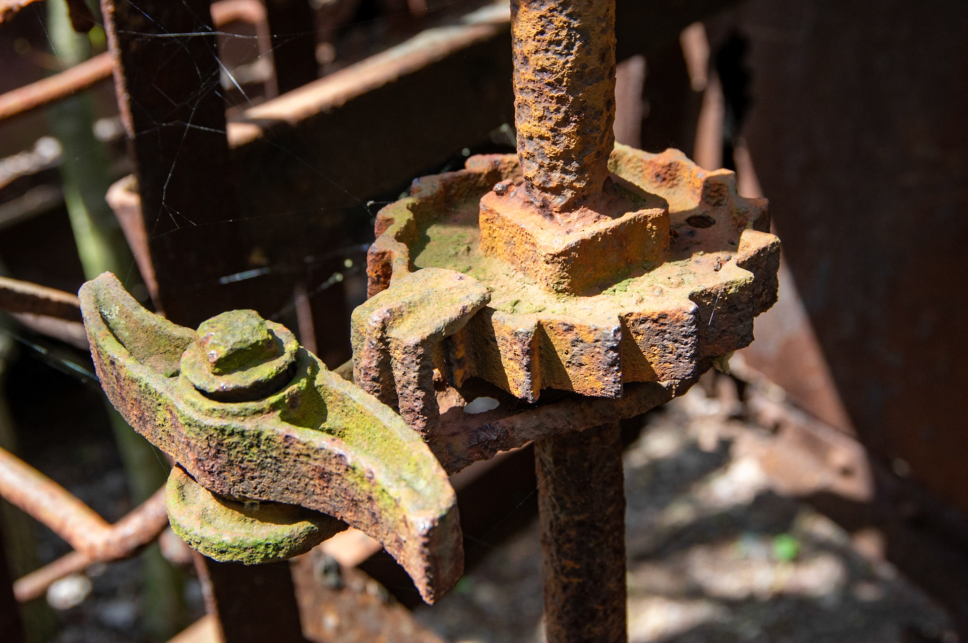 Abandonded East Broad Top narrow-gauge cars in Mt. Union, Pa. on April 23, 2017.