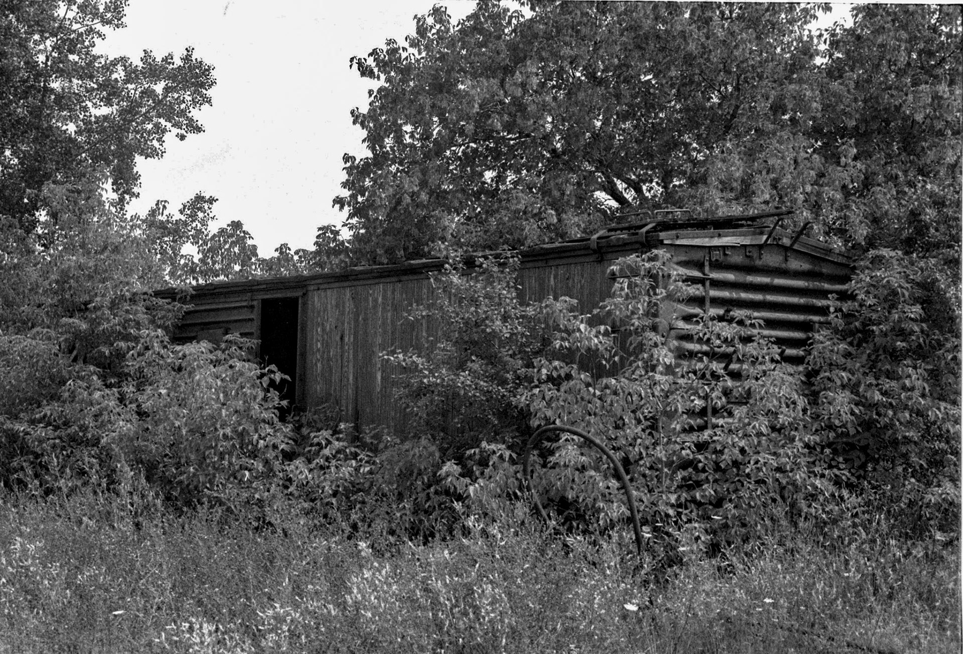 Manchester NY 1979
Lehigh Valley box car