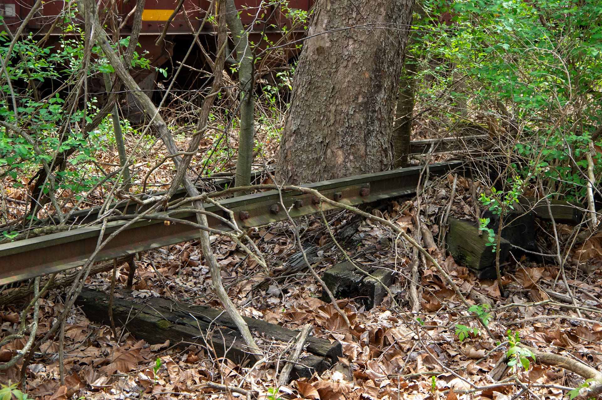 Abandonded East Broad Top narrow-gauge cars in Mt. Union, Pa. on April 23, 2017.