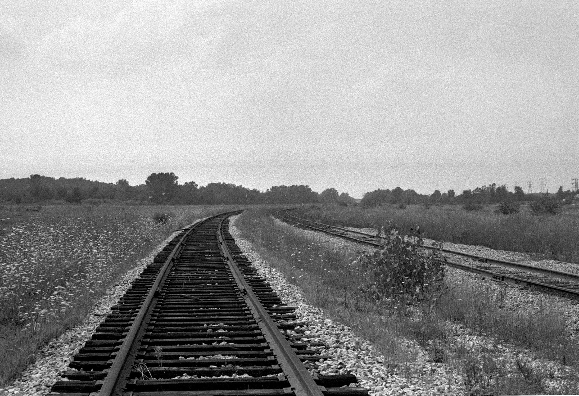 Manchester NY yards, 1979