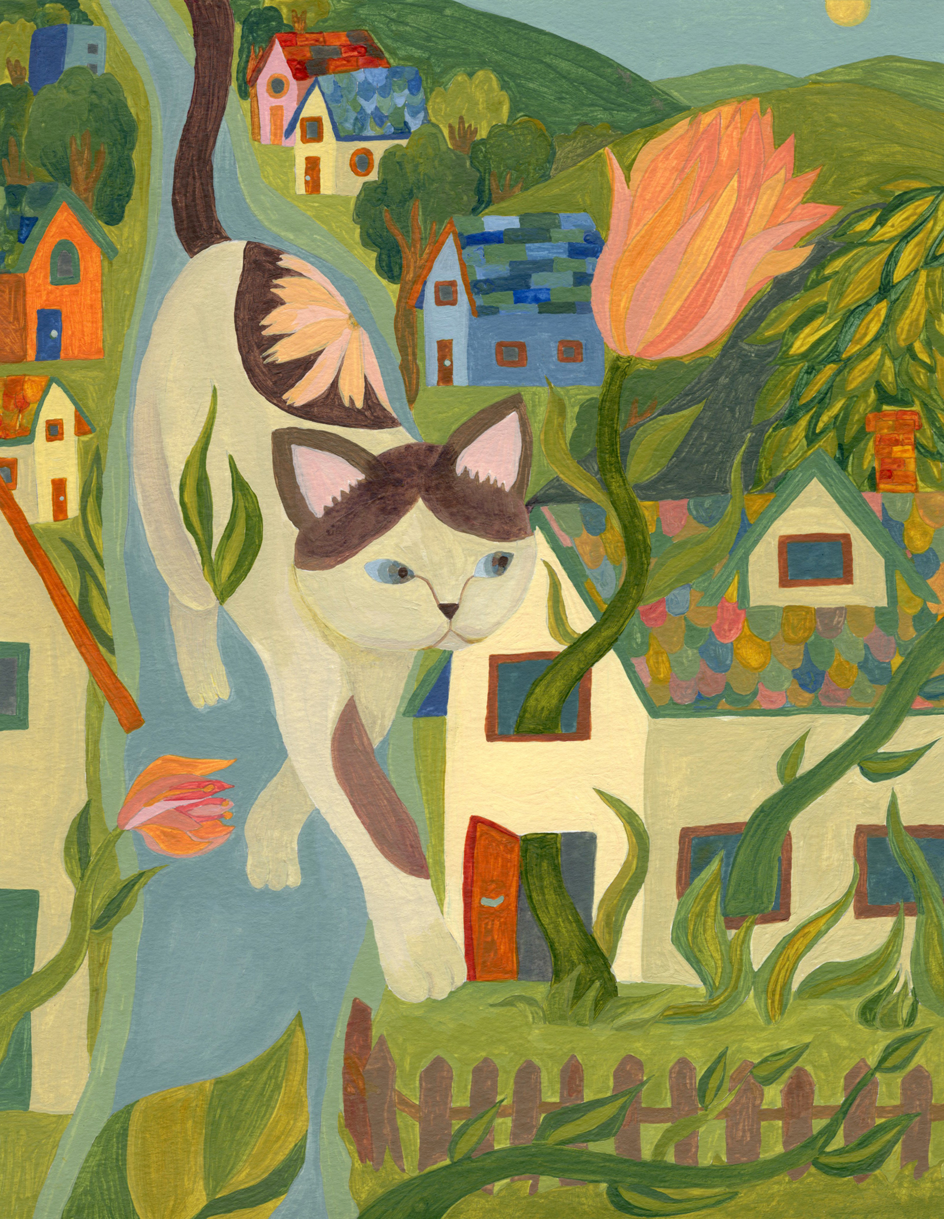 Cat Roaming Neighborhood 2019