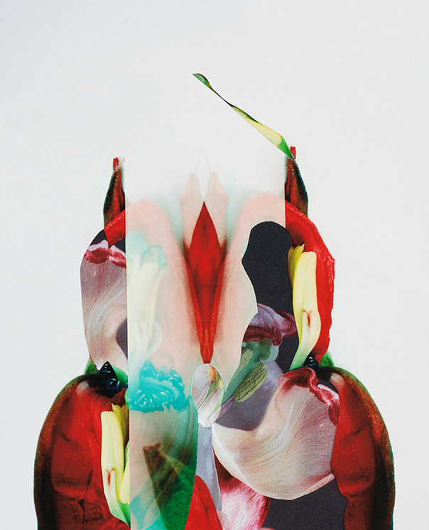 Transparency Flower