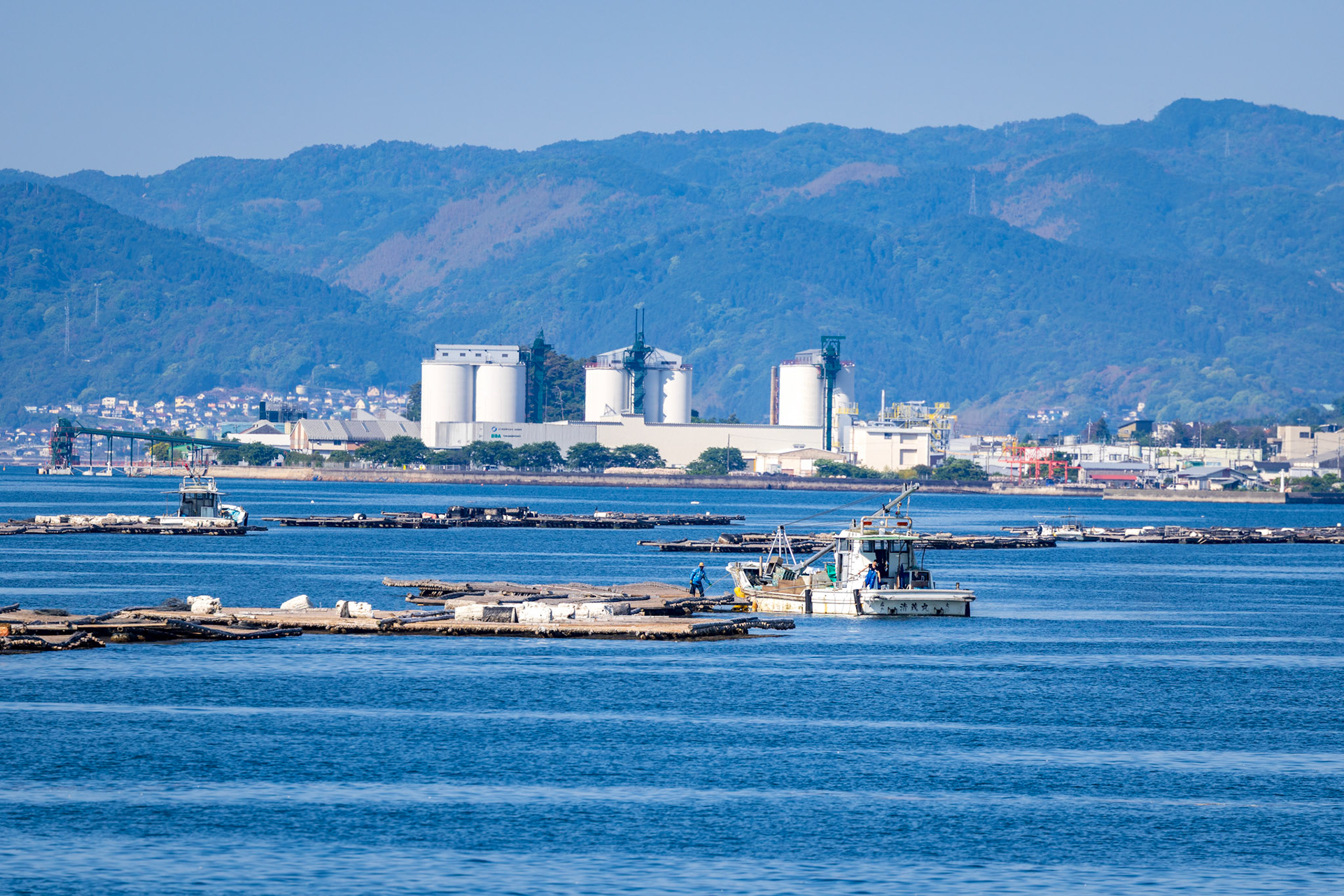 Oyster Farming