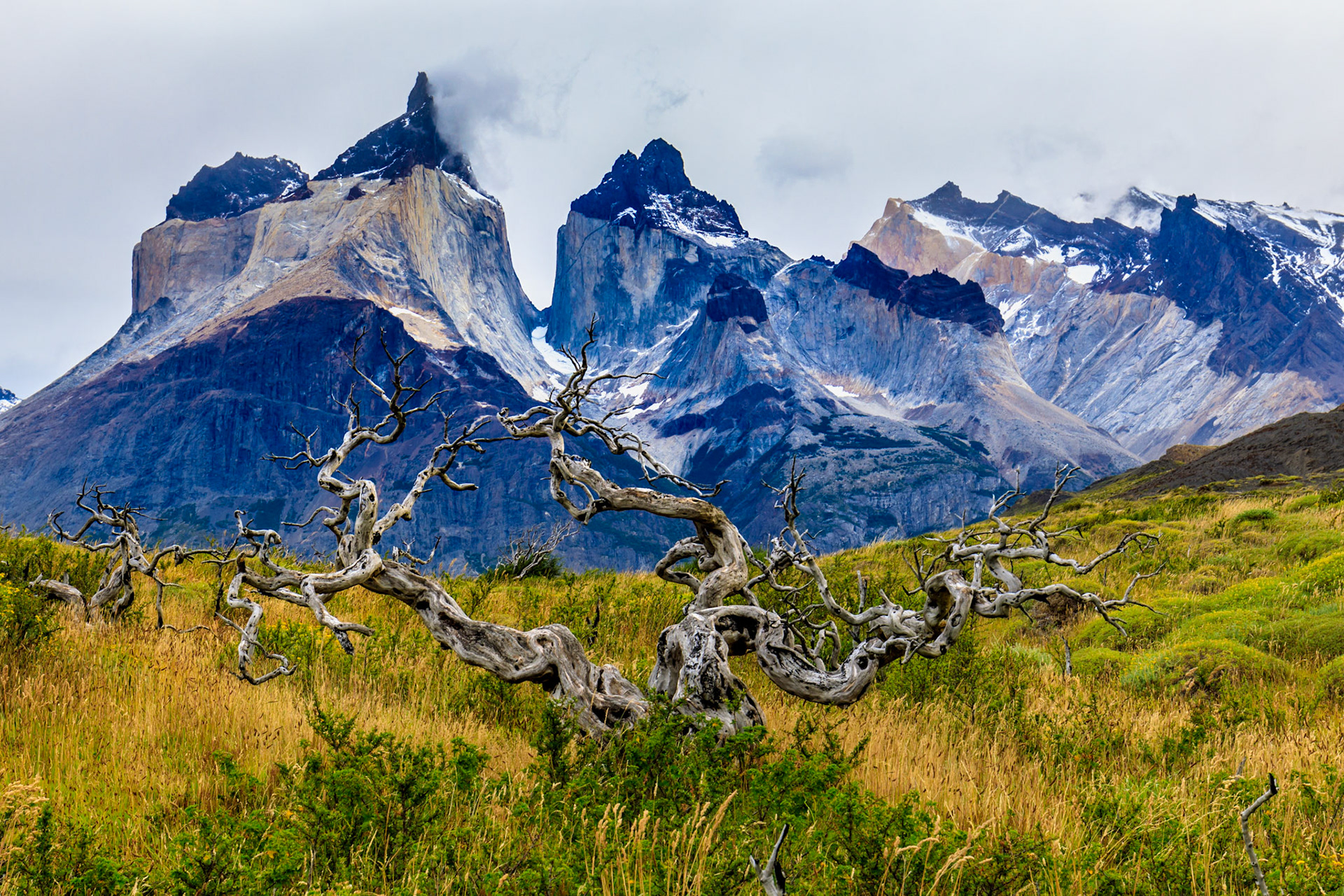 Torres de Paine