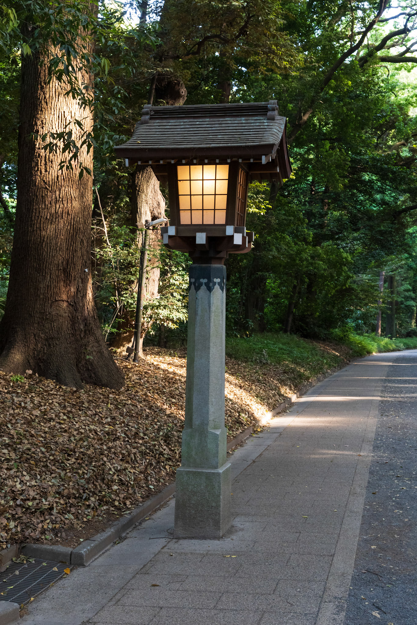 Walking path lights in the forest leading to the shrine