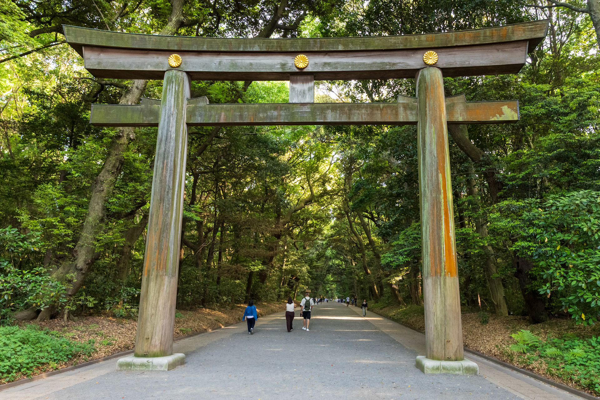 The entrance gate