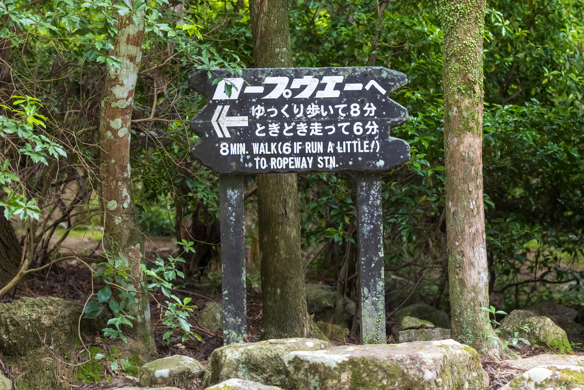 Funny sign