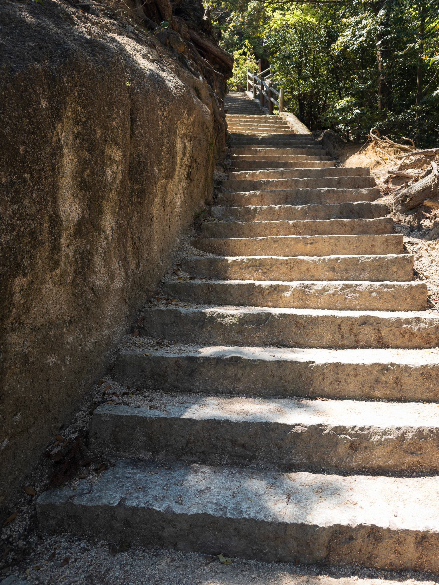 So many stairs on our hike