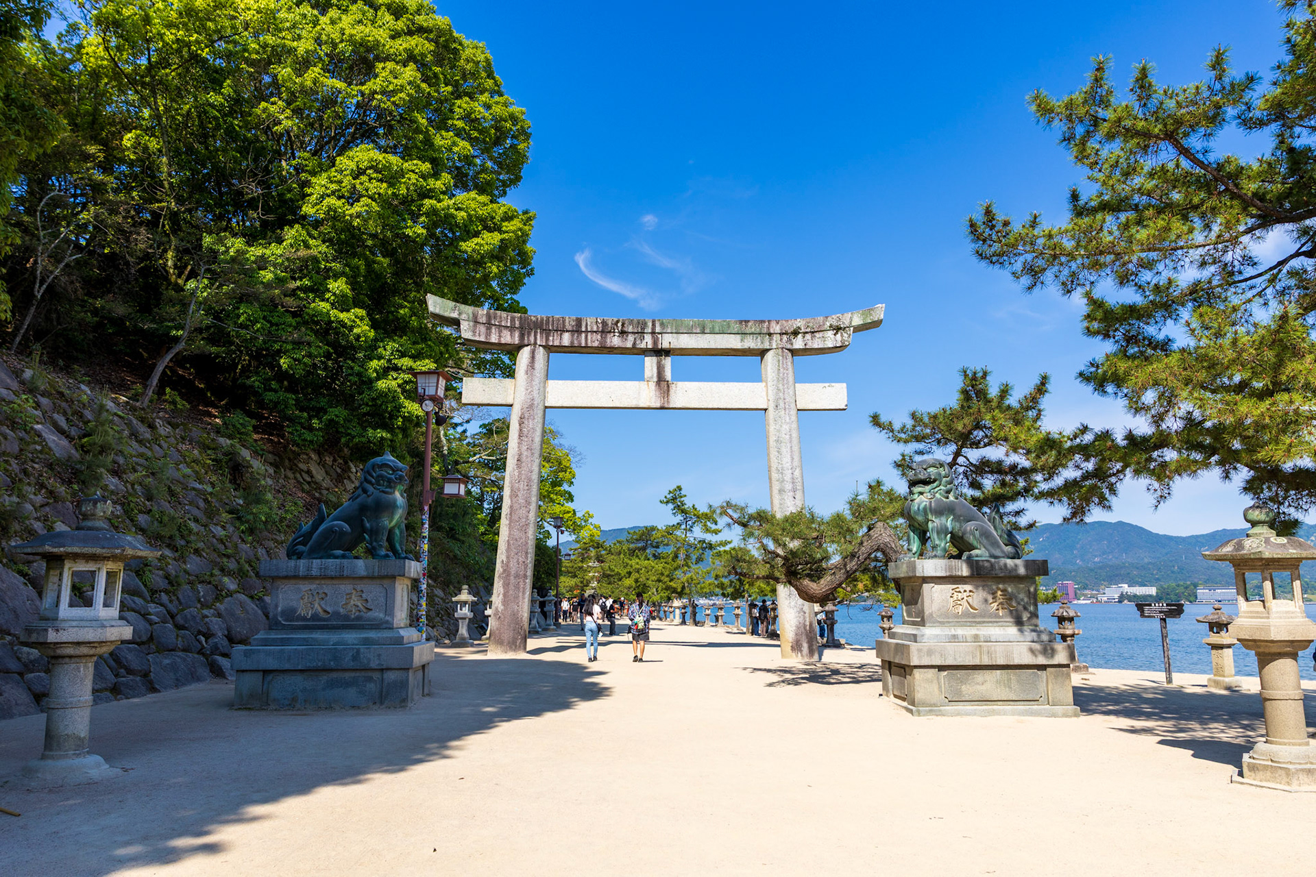 Path to the shrine