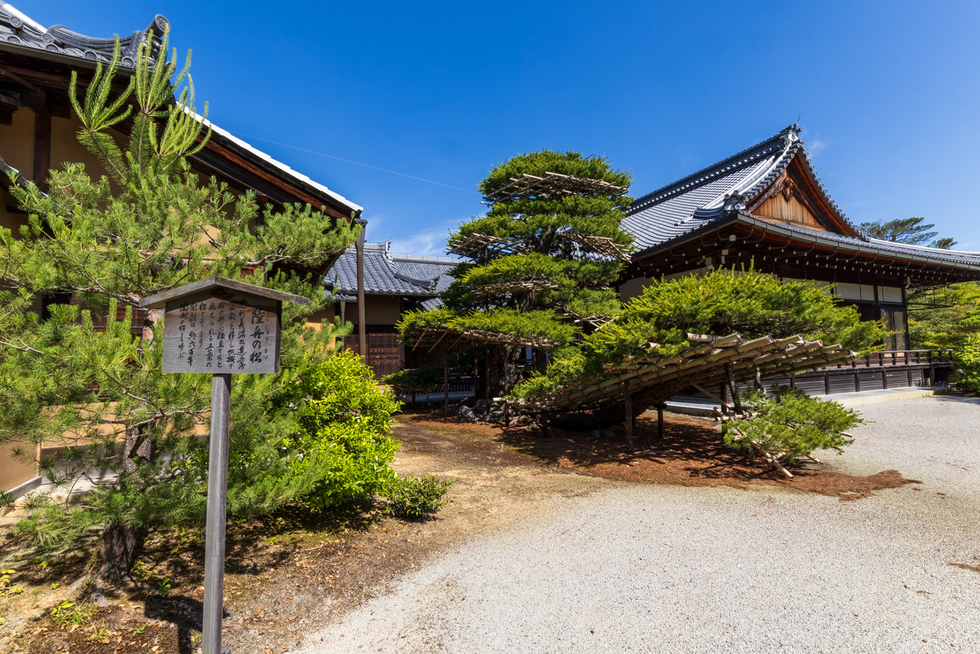 Easily one of the most impressive things at Rokuon-ji. This 600-year-old pine has been carefully shaped for over six centuries to look like a boat.