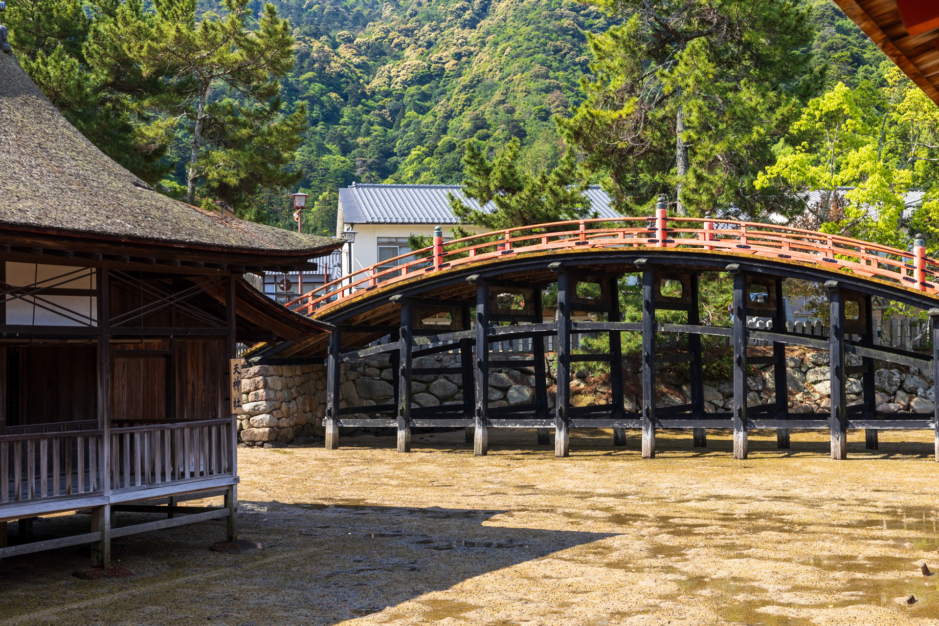 Bridge over water, once the tide changes