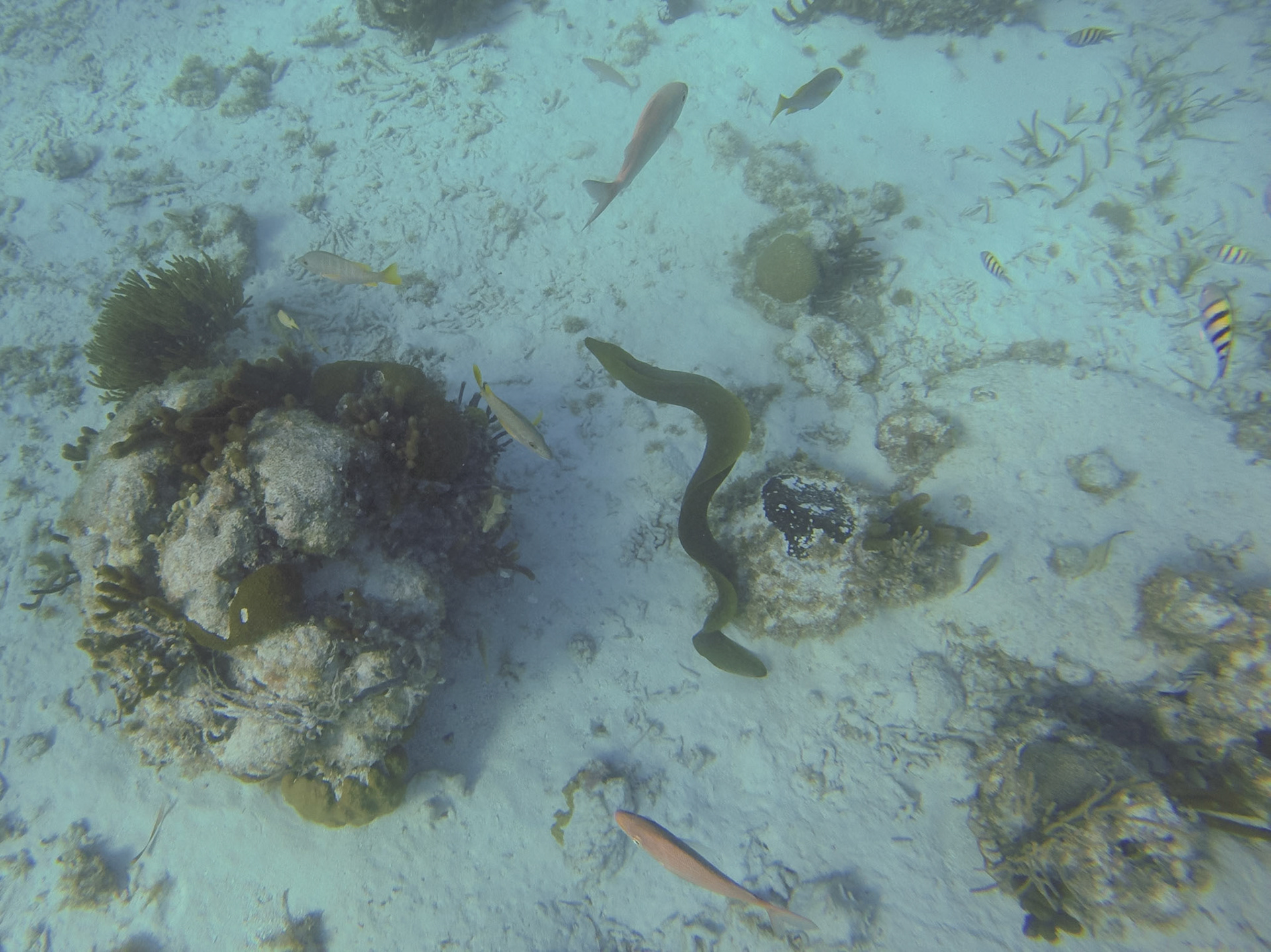 DCIM\100GOPRO\G0139672.