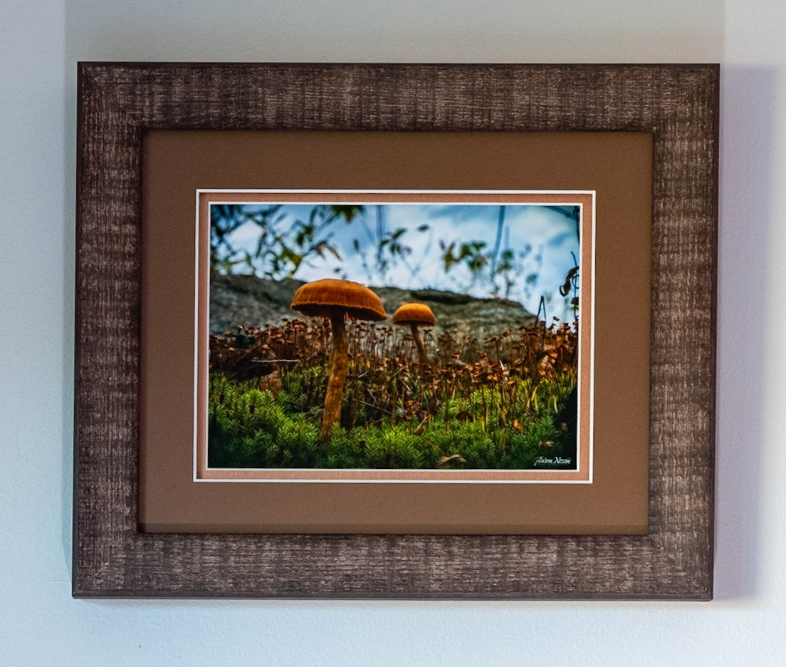 Delicate Forest-Measures 14.5 x 12 Price: $275.00