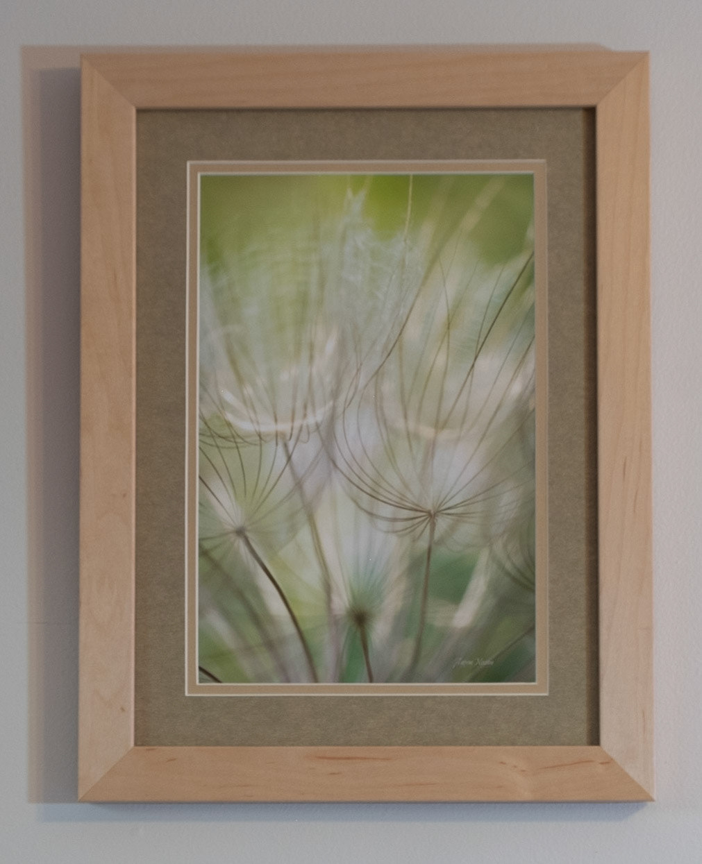 Salsify Seeds - Measures 13.25 x 17.5 Price: $300.00