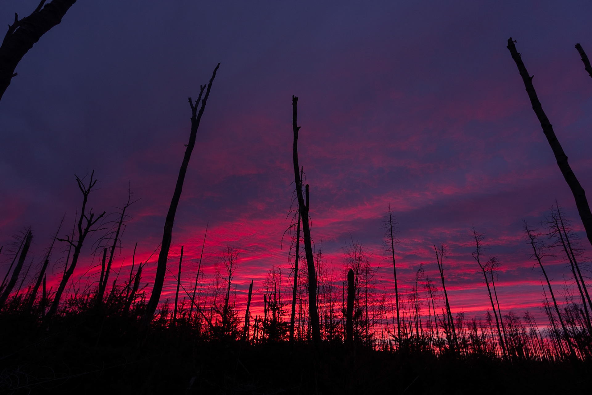 I'm glad I did stay up. What a view!