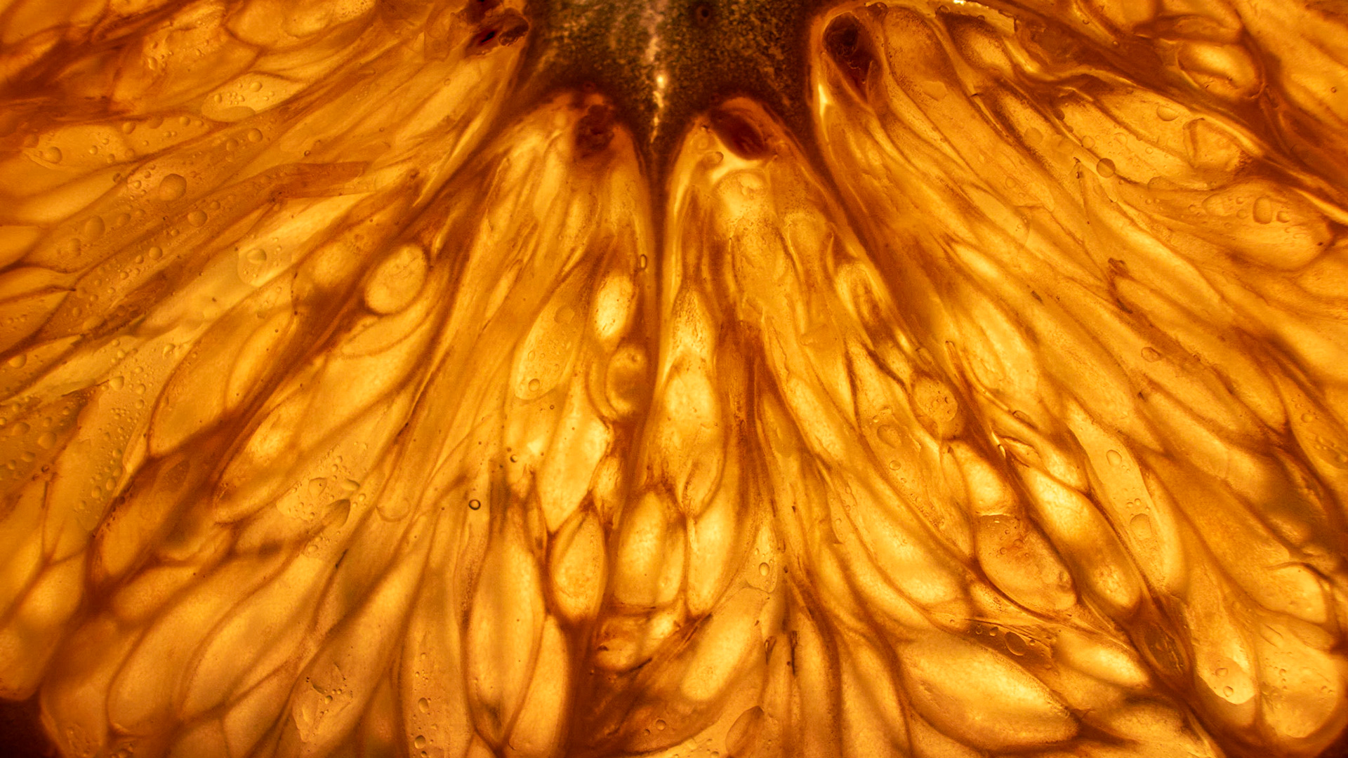 Is this art, or just playing with my food -  Either way, it's fun.