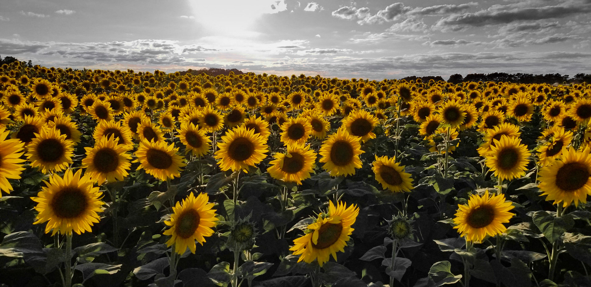 It Goes On And On And On = Wow!