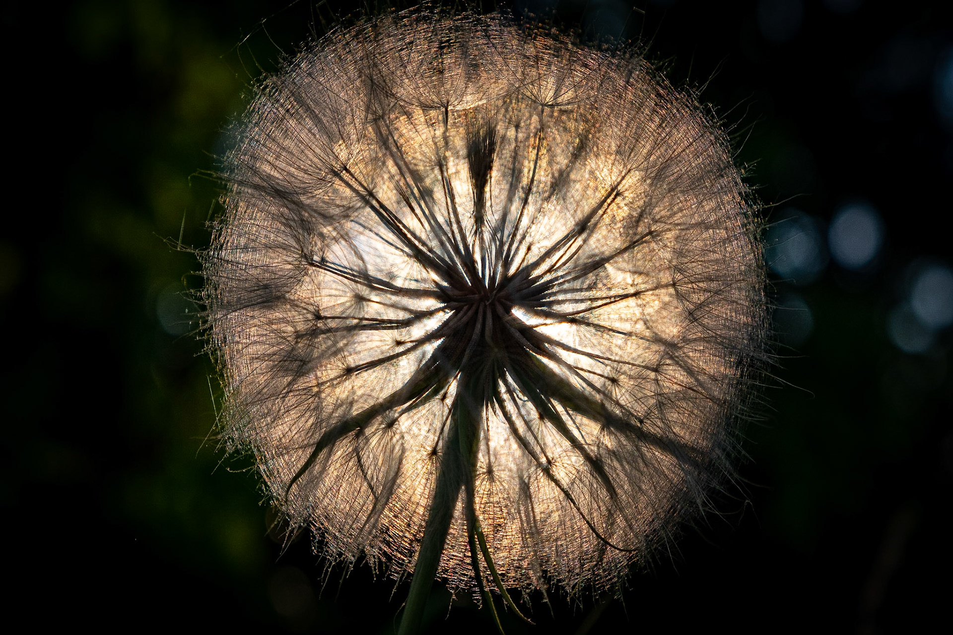 More detail here, but does it take away from the overall effect?