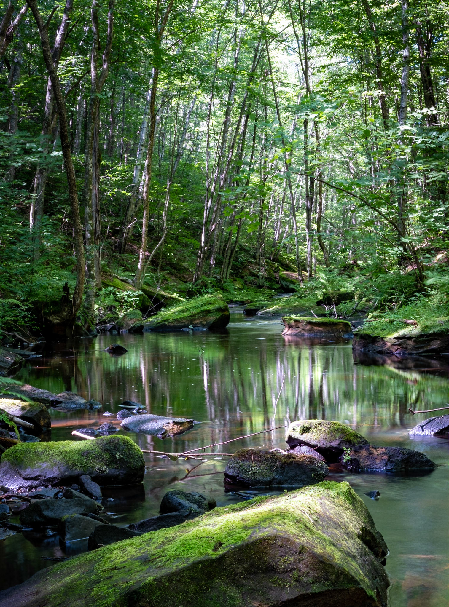 One of my favorite places to go. Banning State Park.