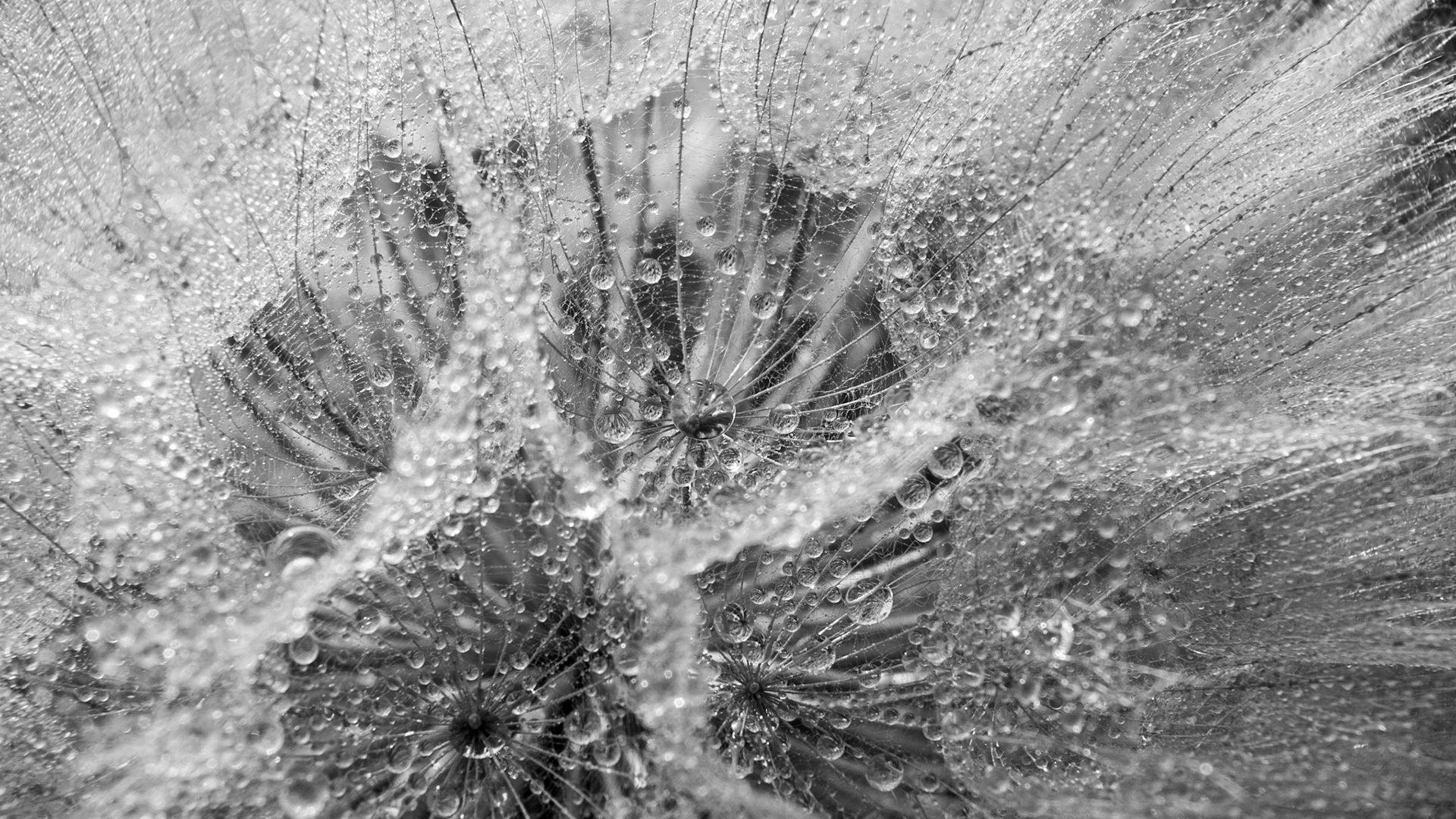 A little moody water droplet catcher.