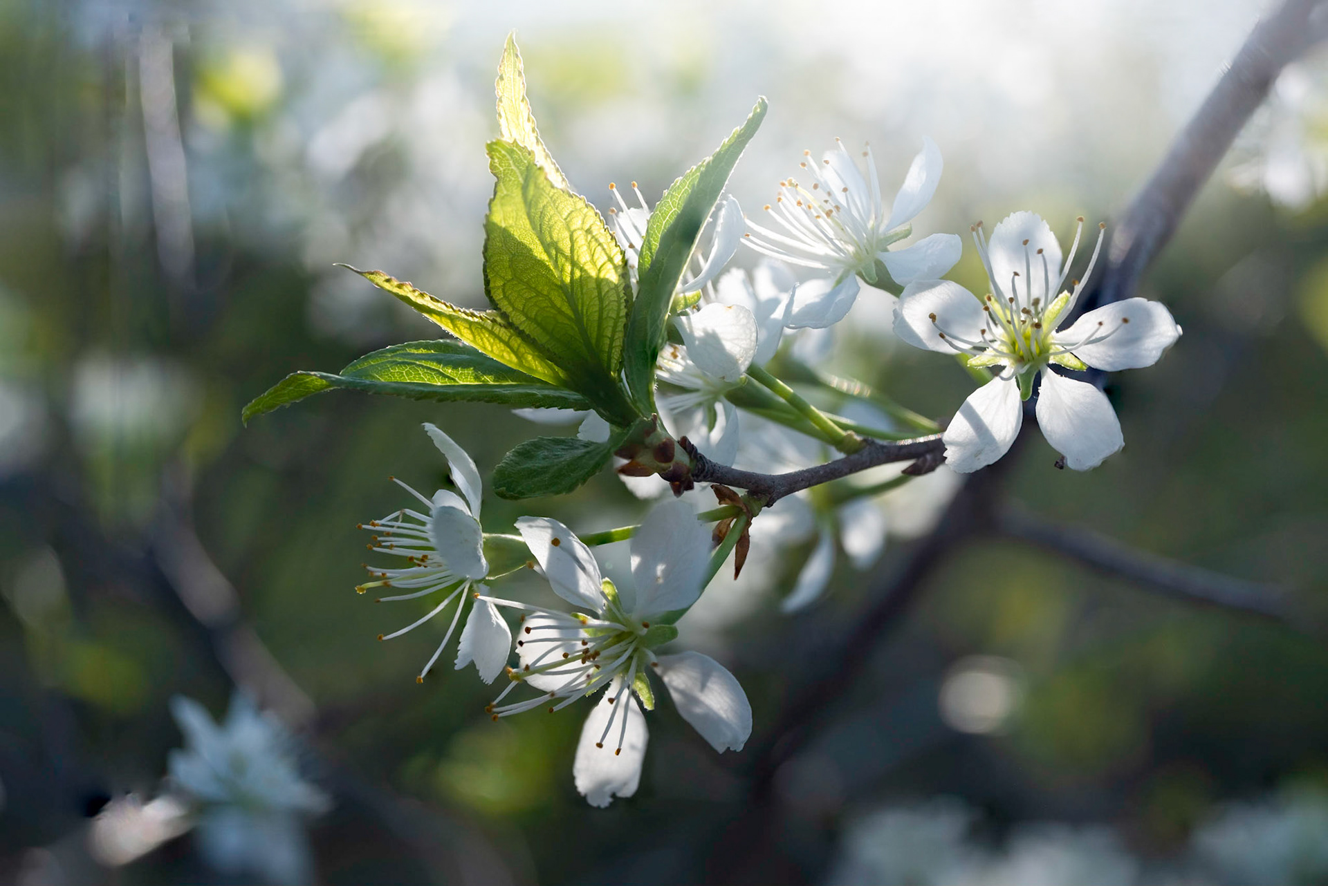 Something new is arlways around the corner.