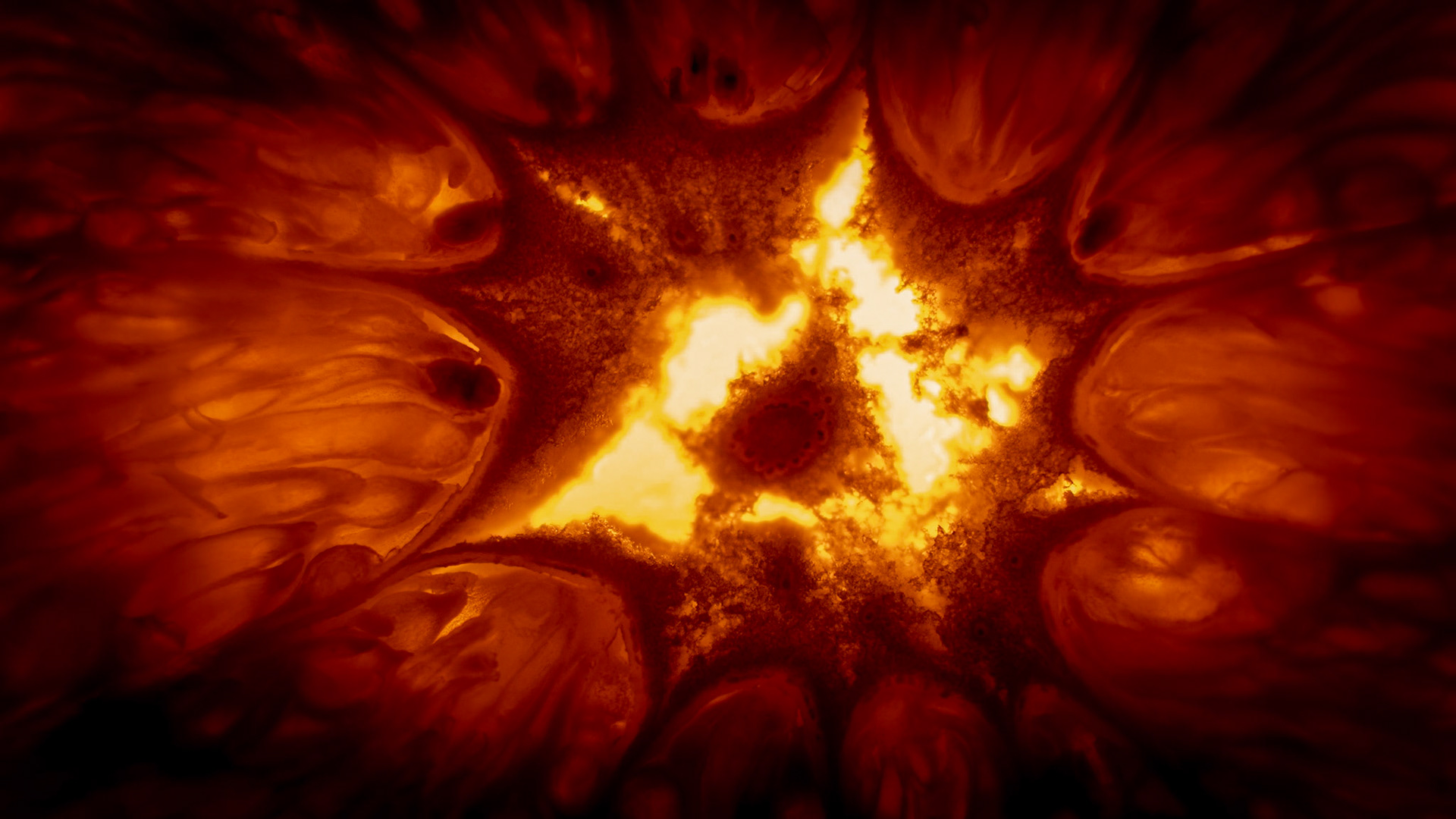 Le Center Of My Breakfast -