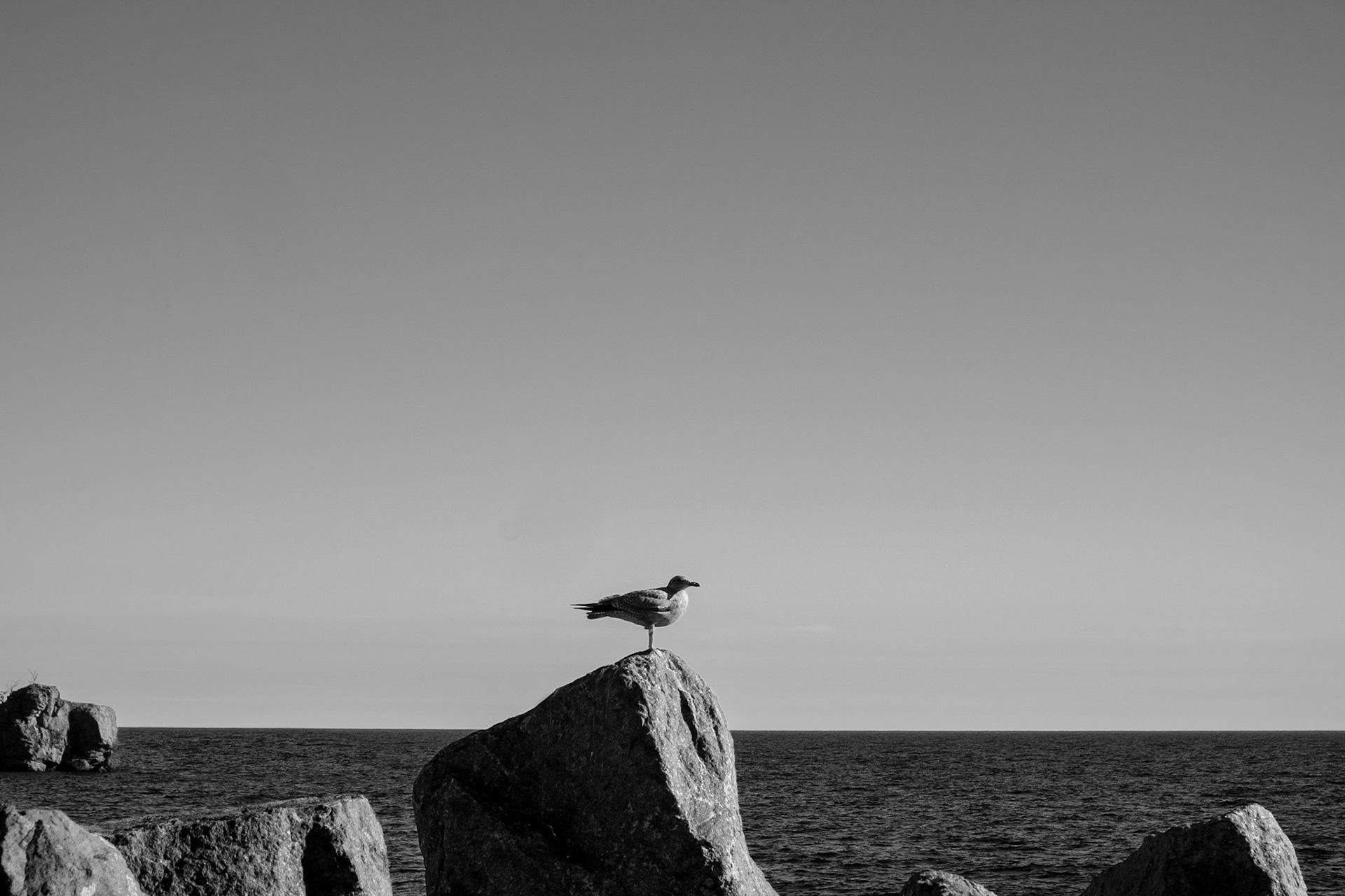 Just standing and watching in the wind-
