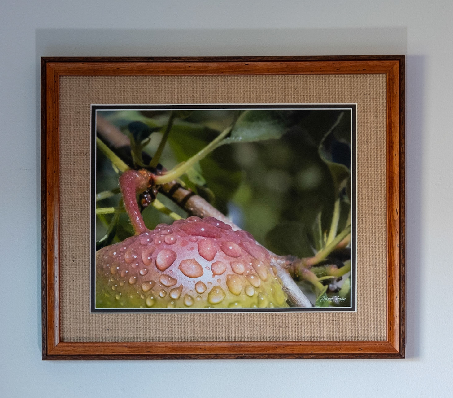 Backyard Harvest - Measures 19.5 x 16.5 Price: $310.00