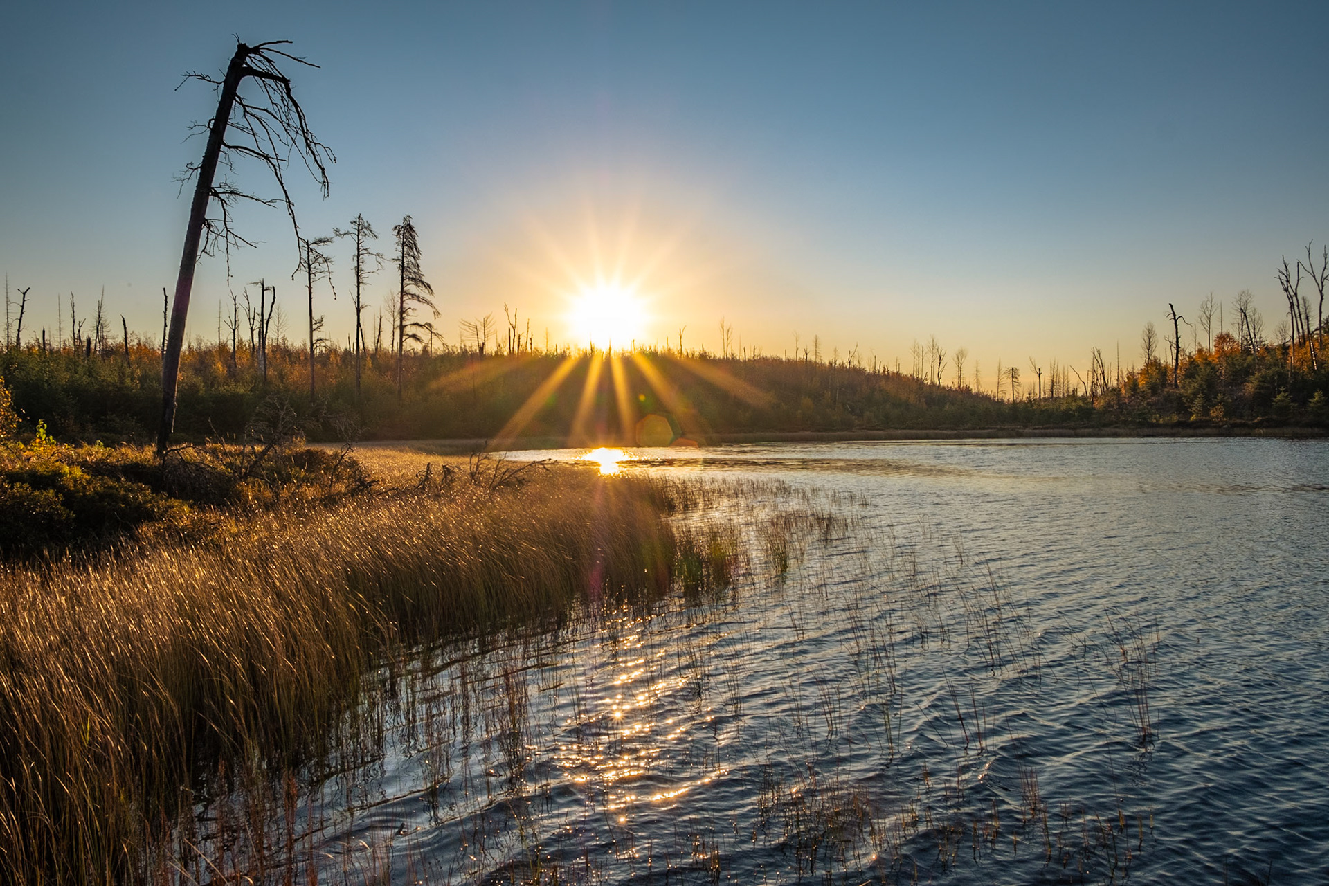 Good morning Powwow!