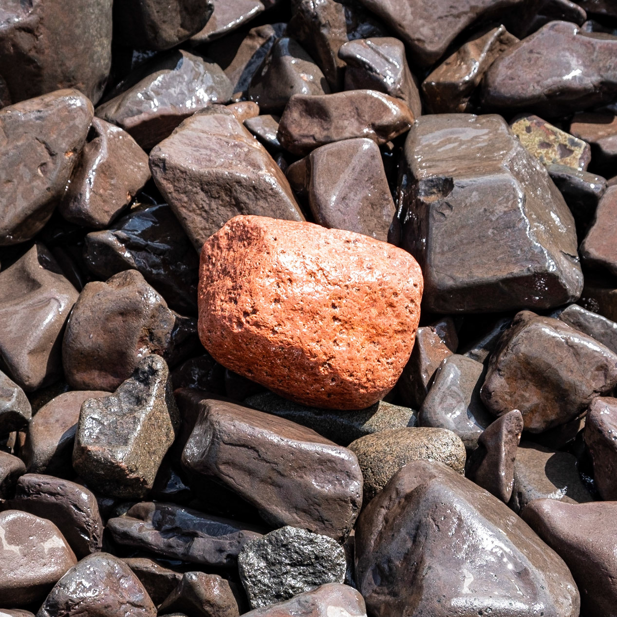 I know you said something about red rocks... but that's all I retained. lol