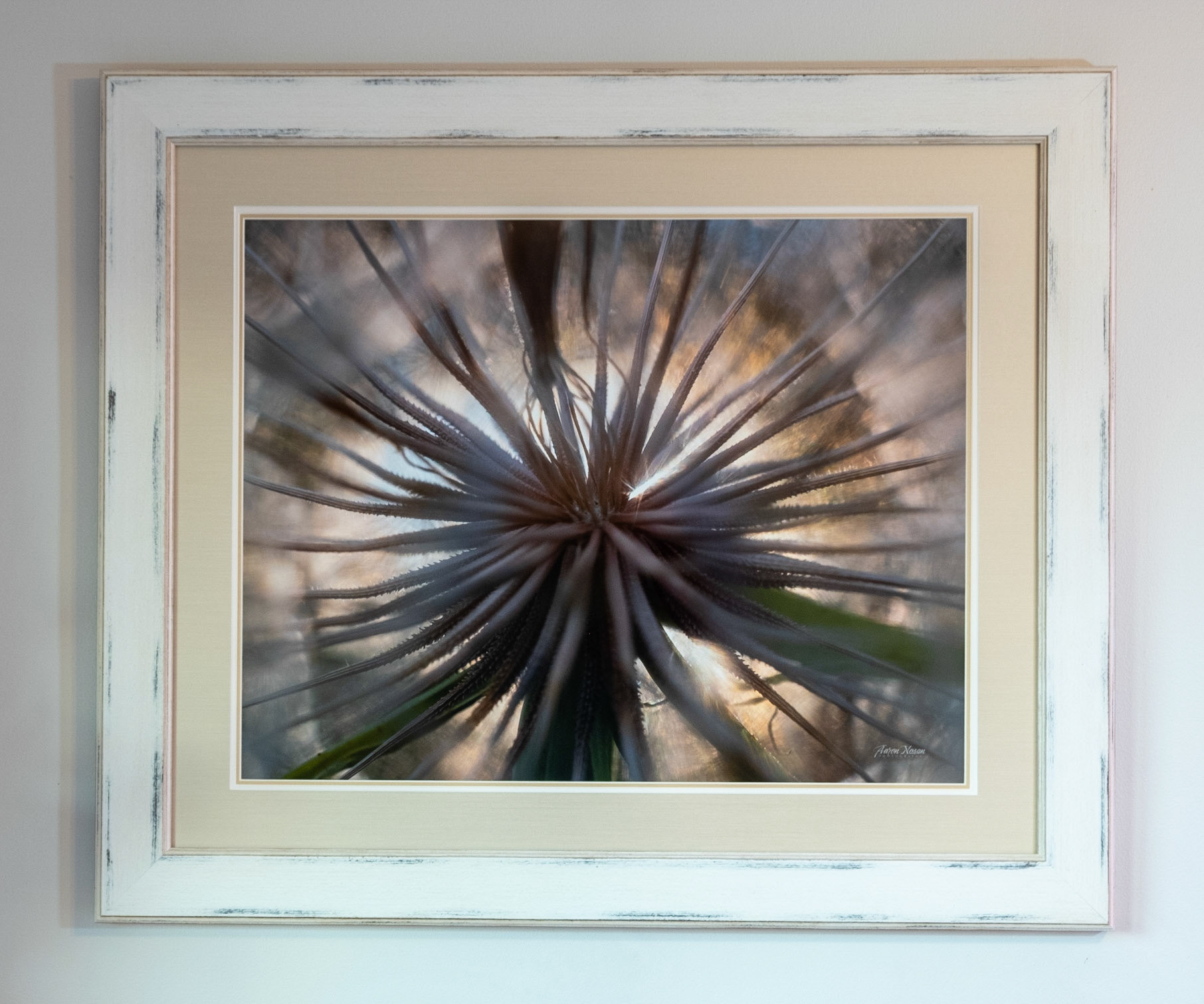 A Whole New World - Measures 34 x 26.75  Price: $815.00