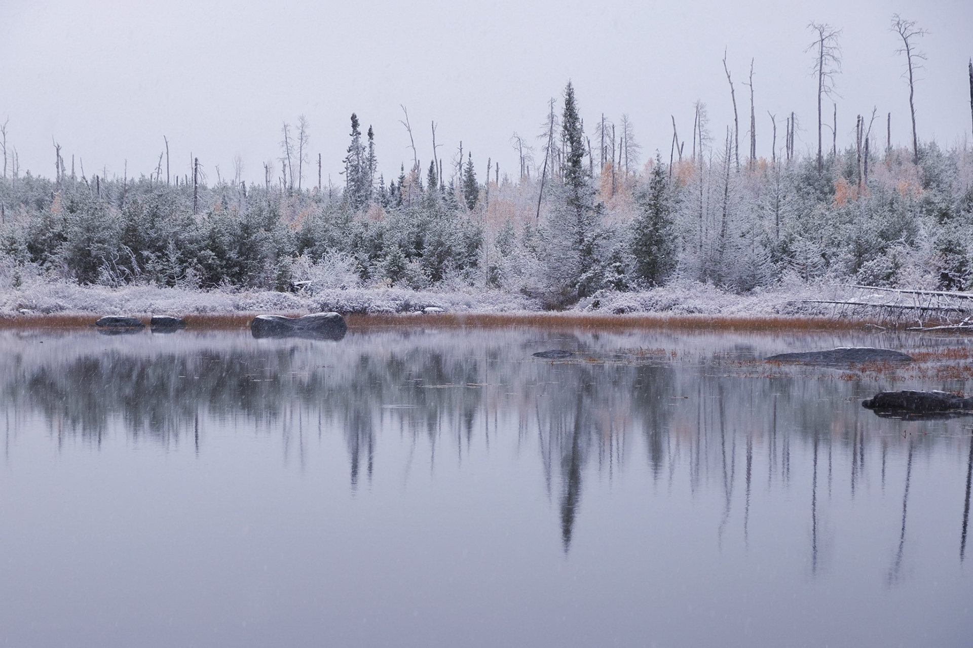It was nice to just sit and watch the snowfall with this view as the backdrop.