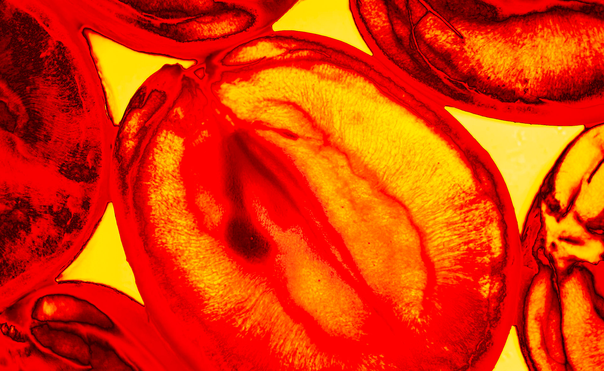 okay, this one went nuclear-