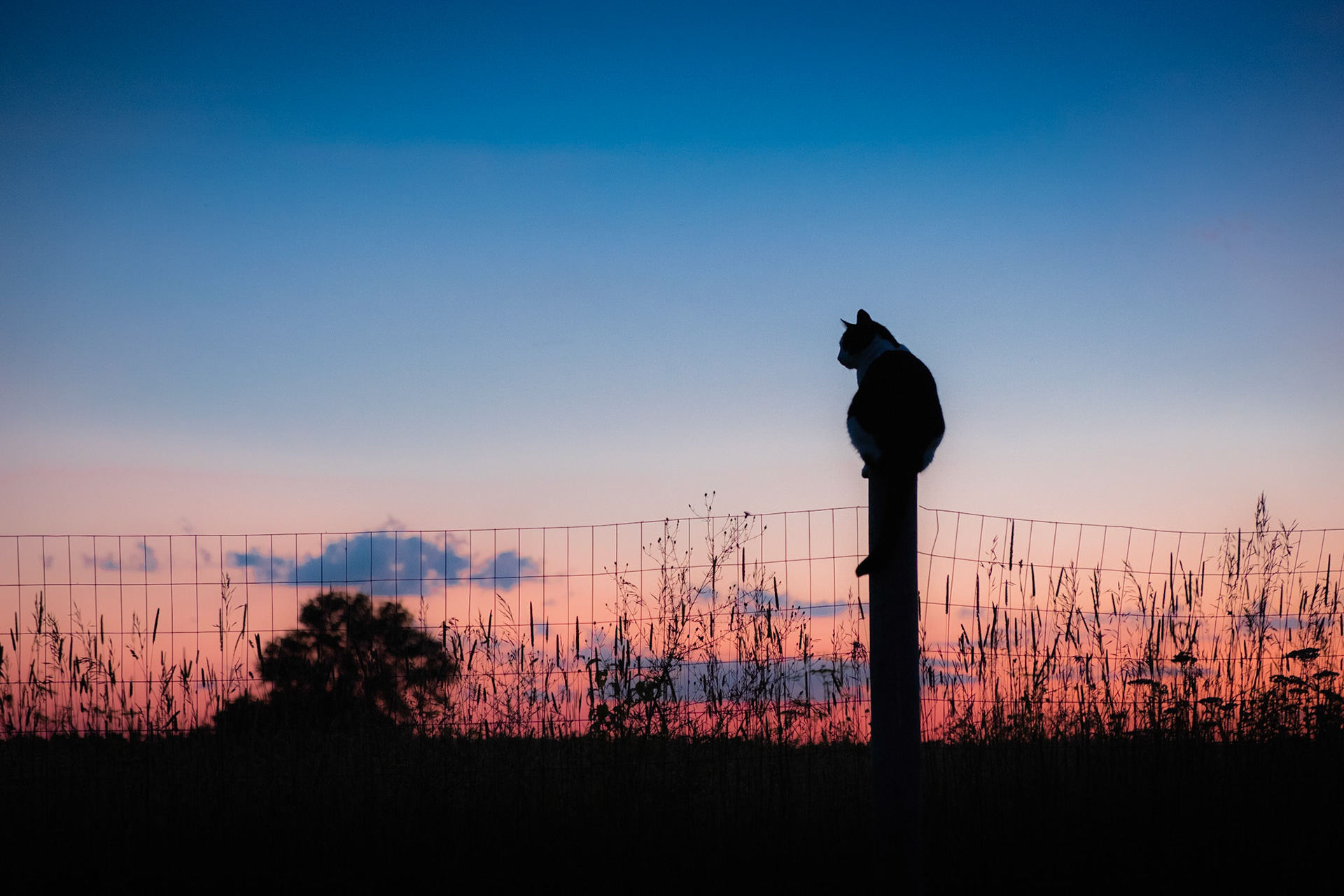 On top of the world.