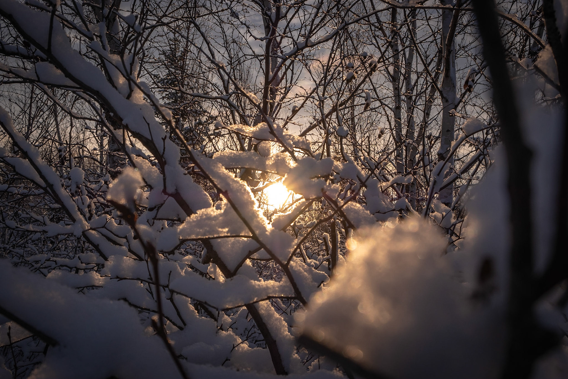 that moment just before the sun drops below the horizon.