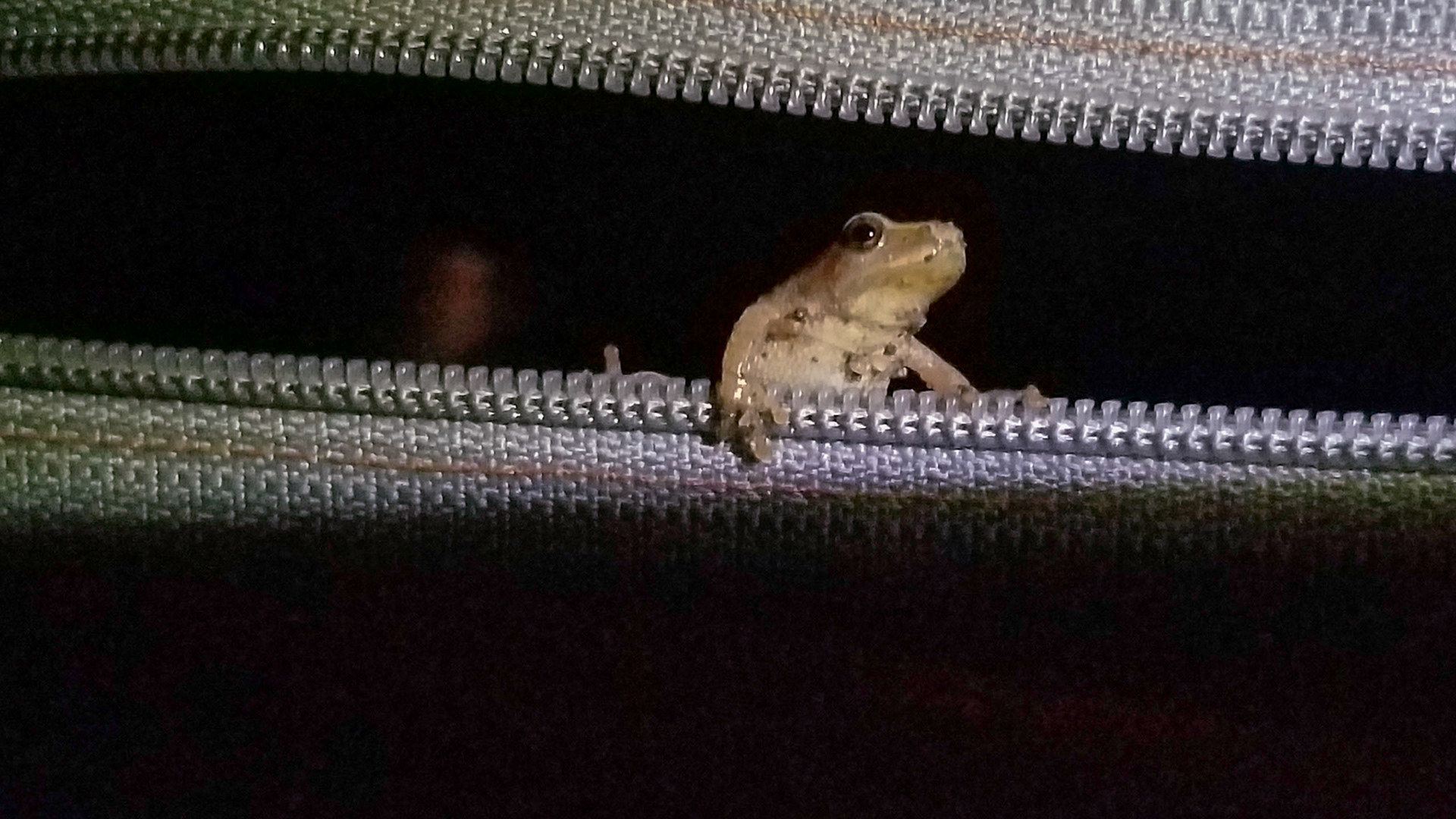 I did however, have to tell him it was too late for visitors.