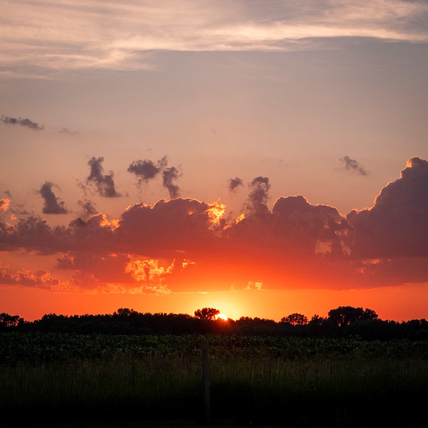 Yeah, that's a nice sunet.