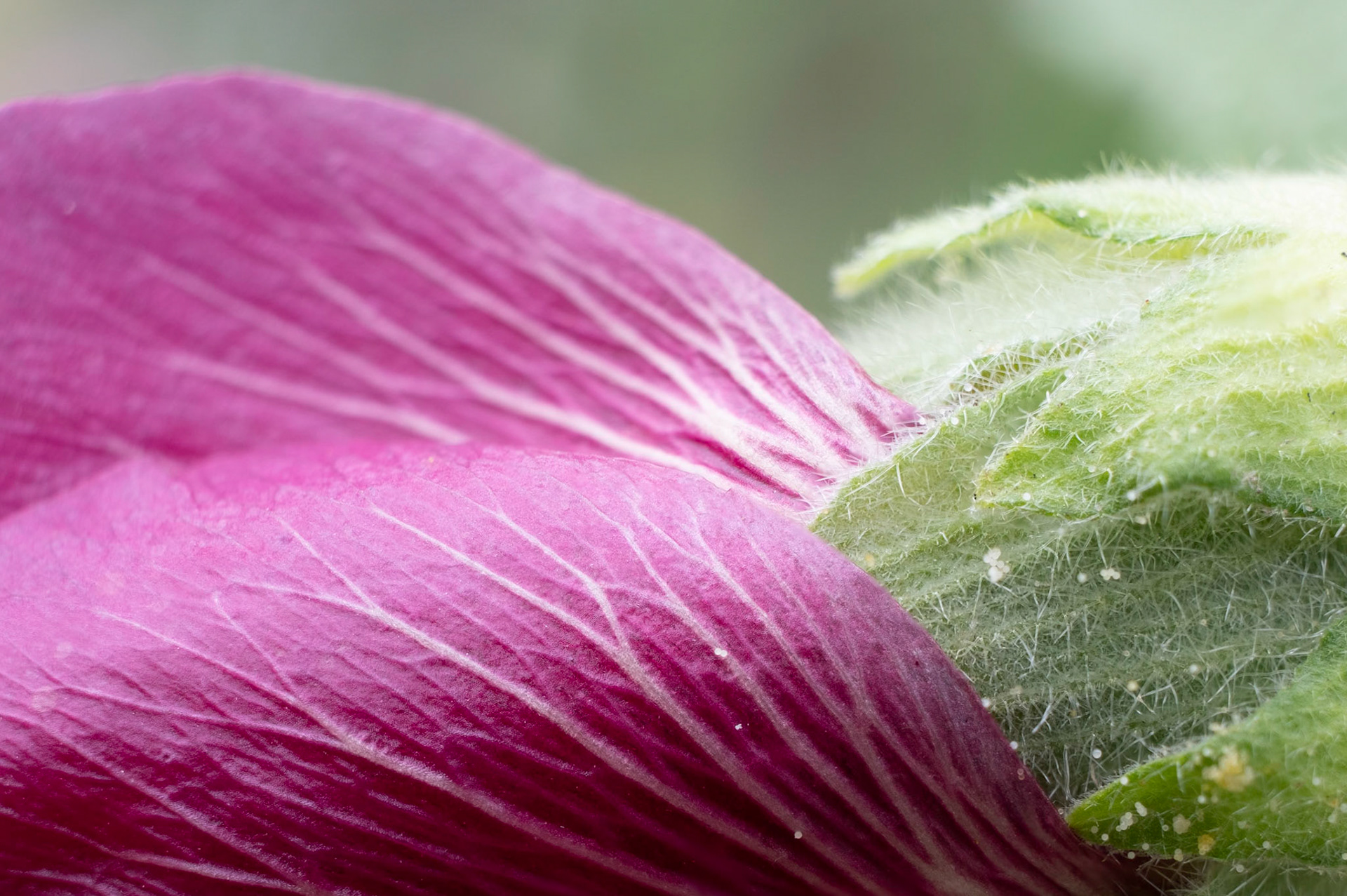 More textures and curves.