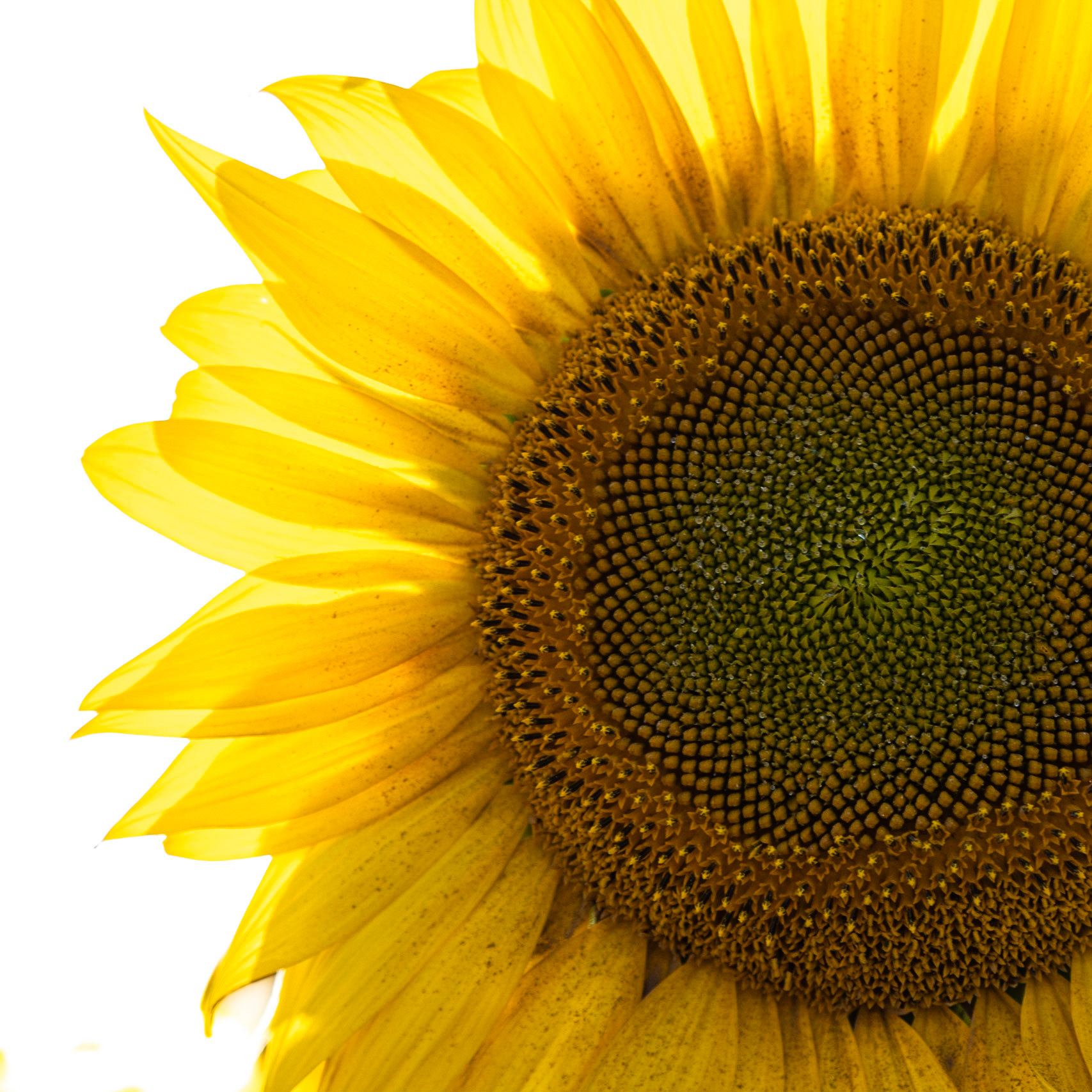 So pure and simple -