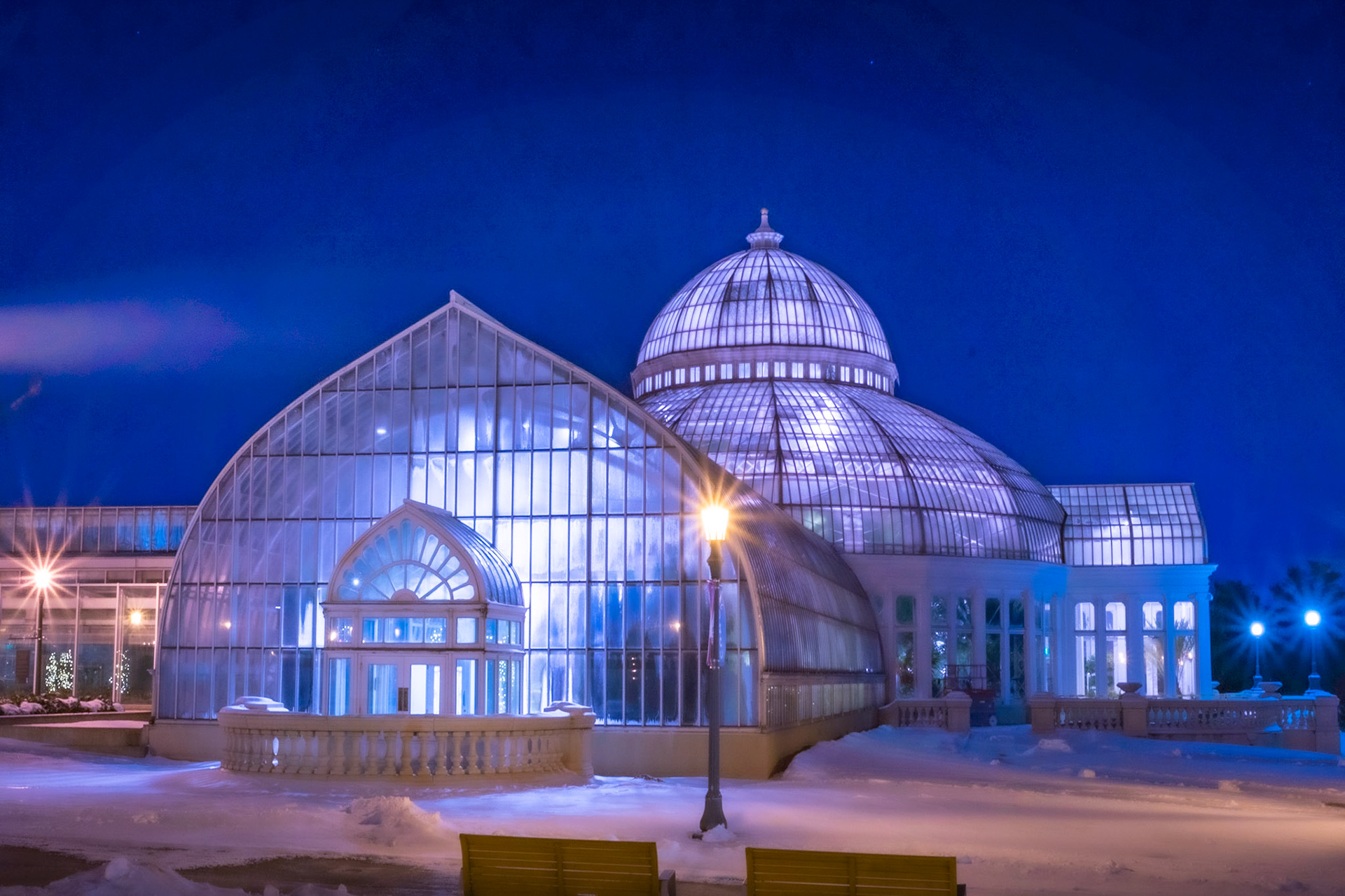Marjorie McNeely Conservatory at Como Park. What an amazing building to drive up to in the middle of the night. All that glass illuminated so softly.