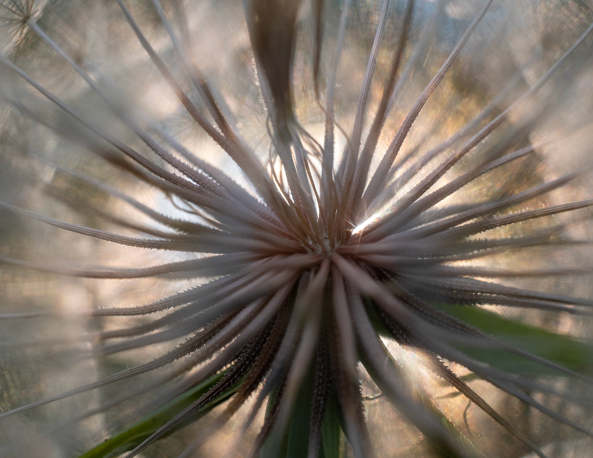 It's like a whole different universe in here!