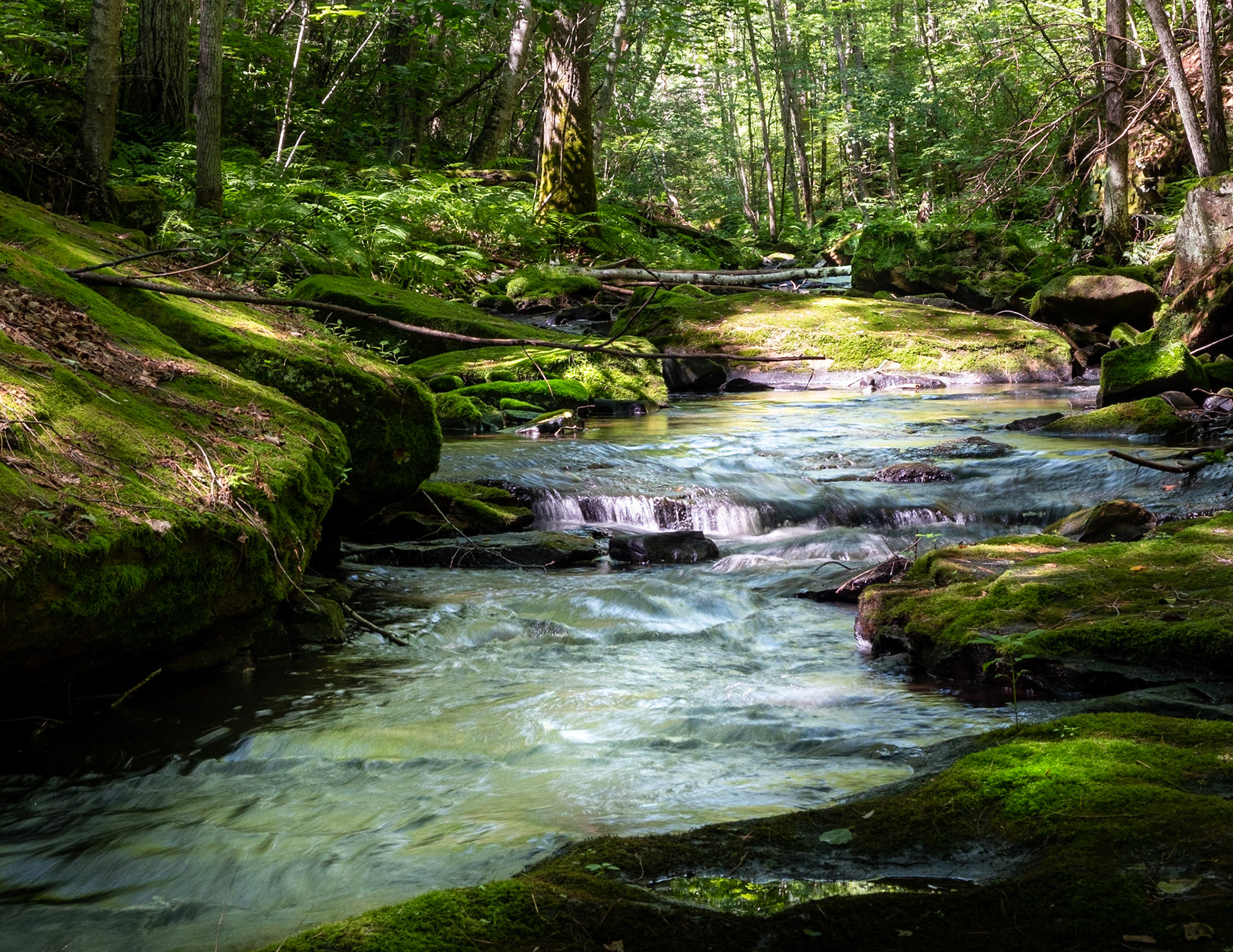 Off the beaten path for sure.