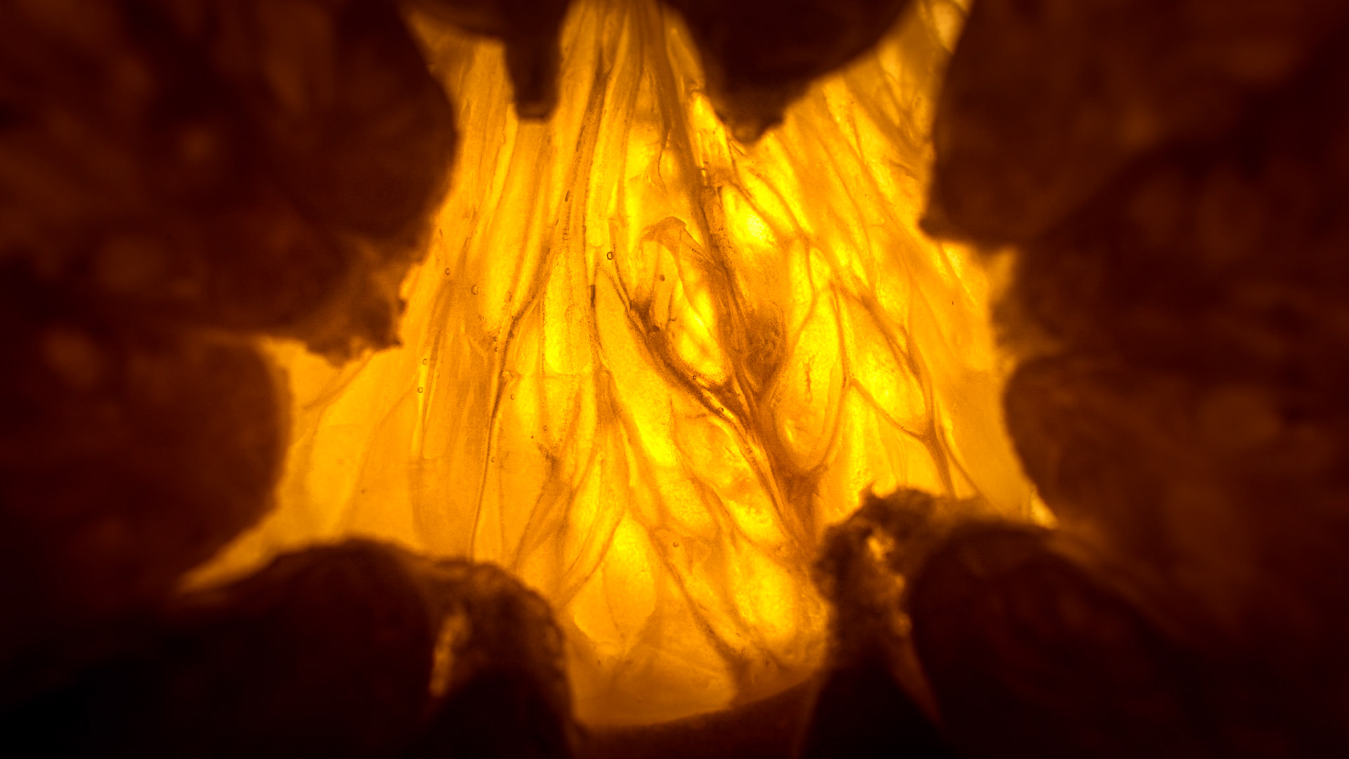 The Sun at the end of the tunnel-