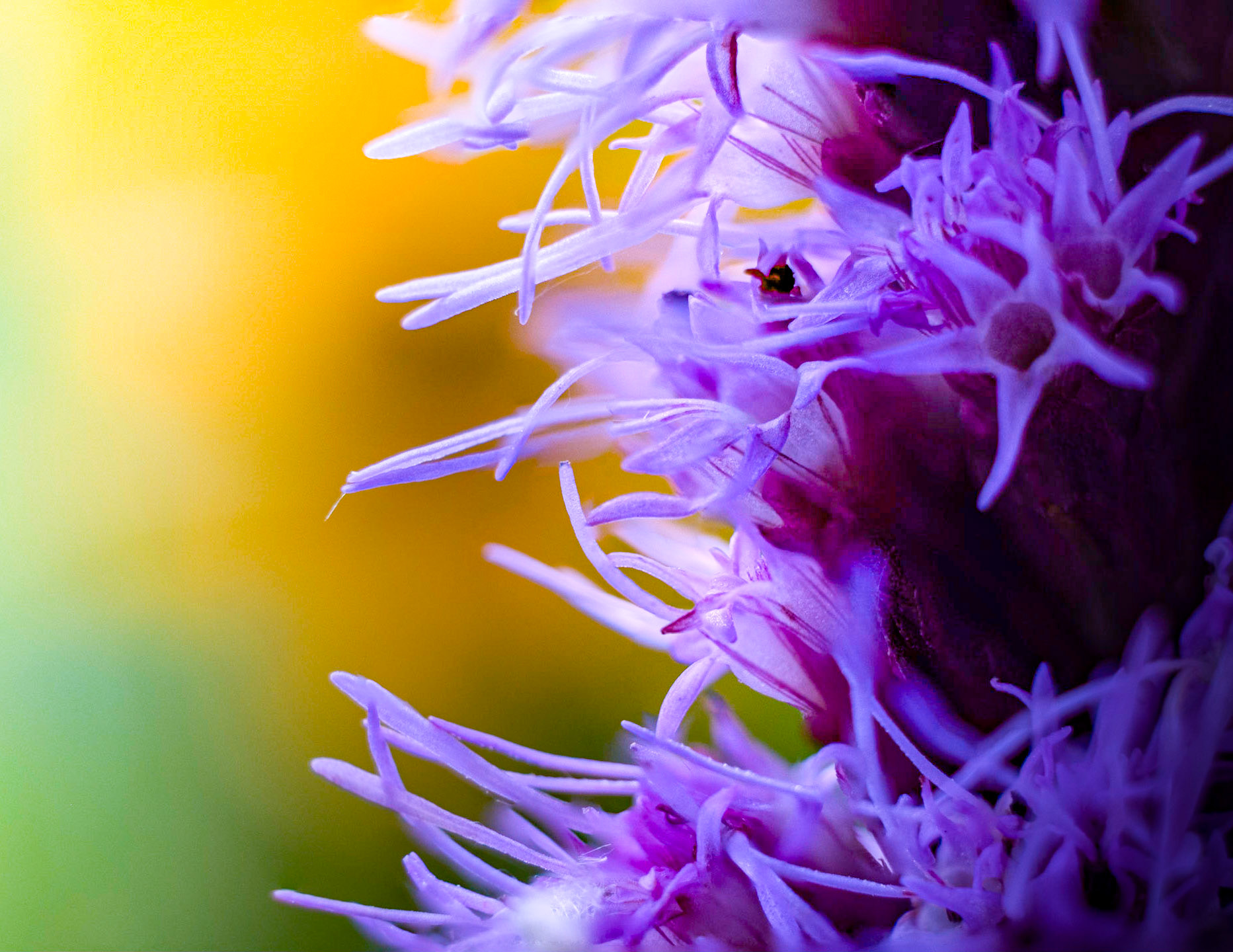 I took this series of images while being yelled at from an older lady. She's yelling that I better know what I'm doing and I should take shelter now! To be fair, there was a tornado like swirling clouds just above us. But I like the image!