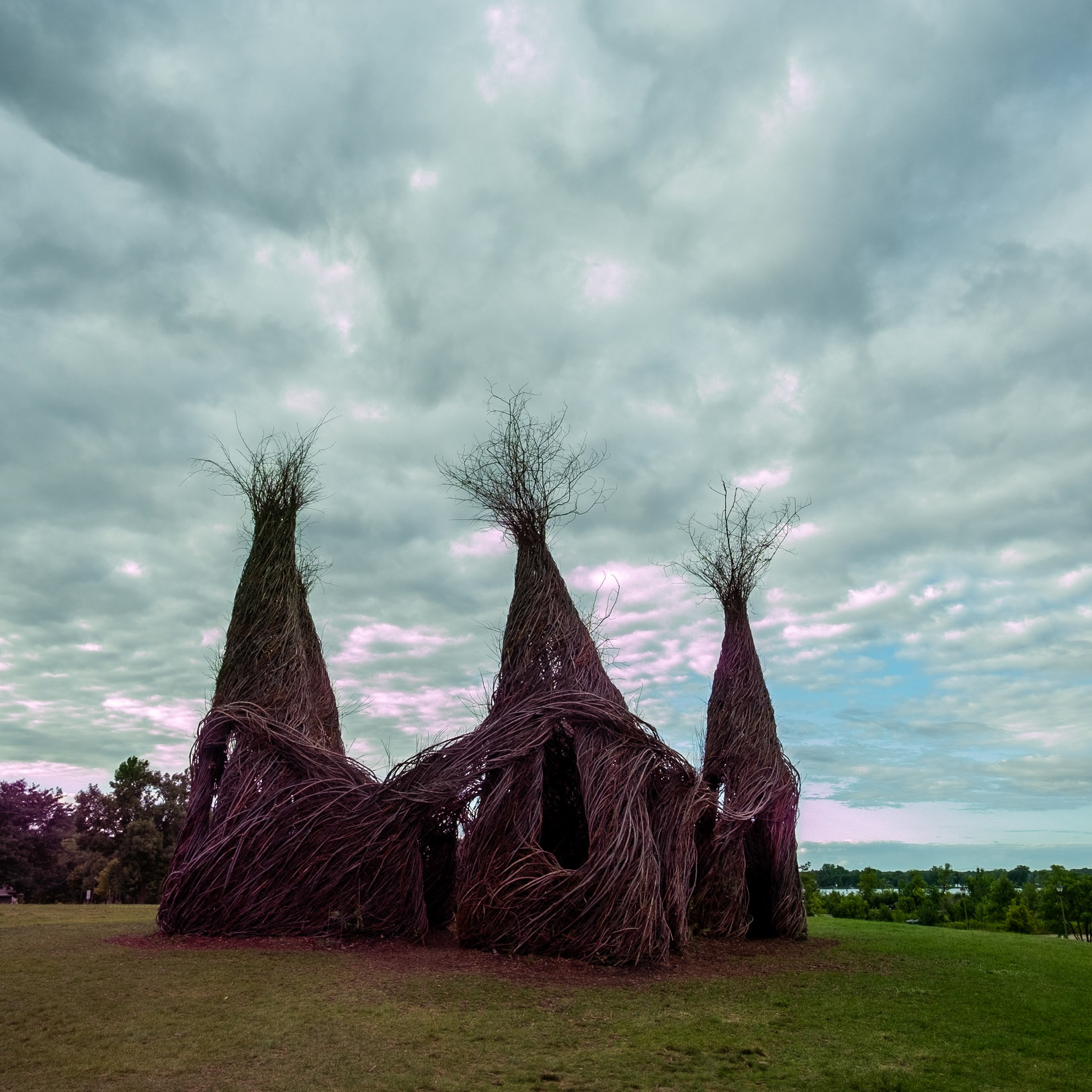 An art insulation made completely out of Willow sticks.