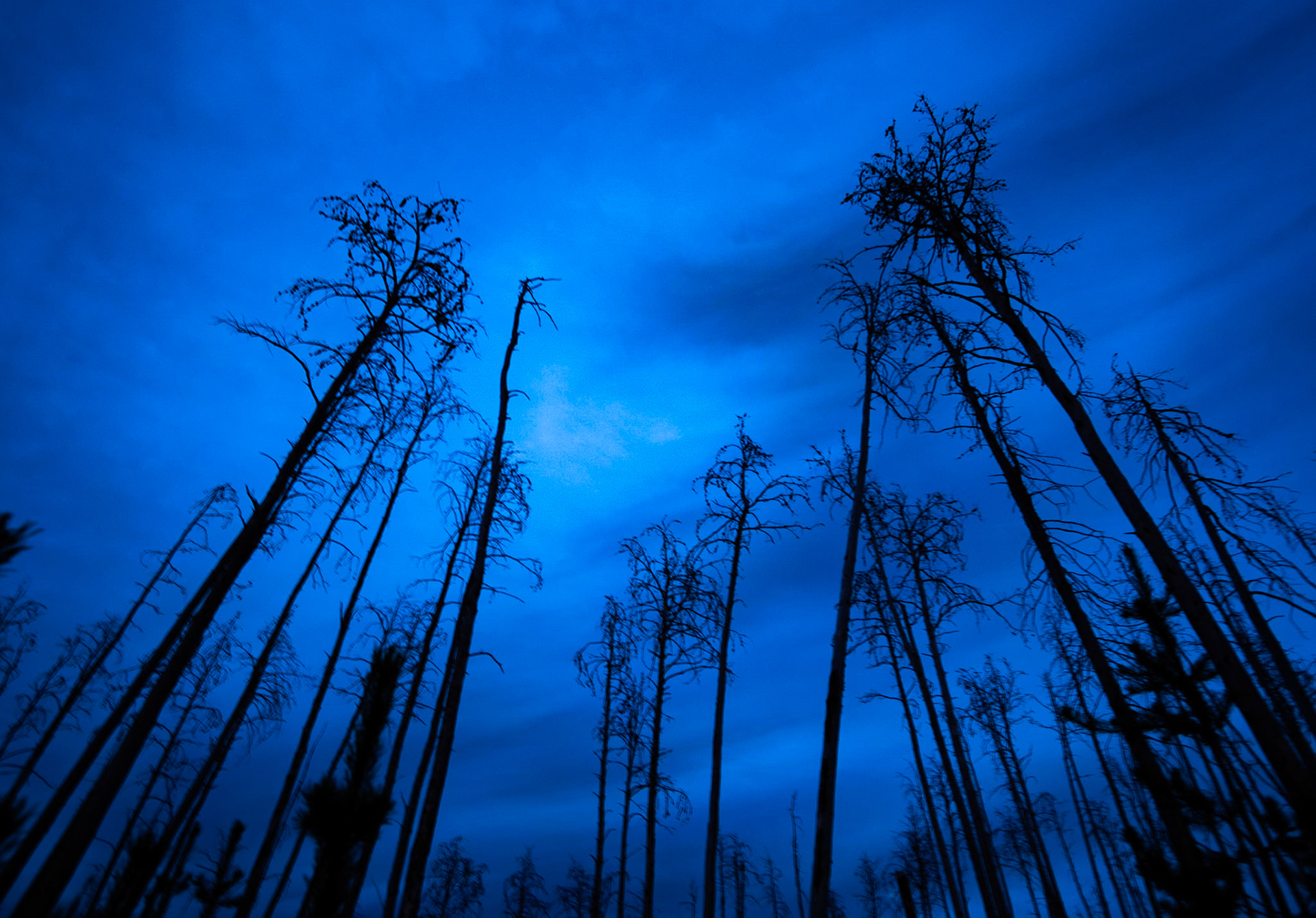 Sort of eerie, minus the sort.