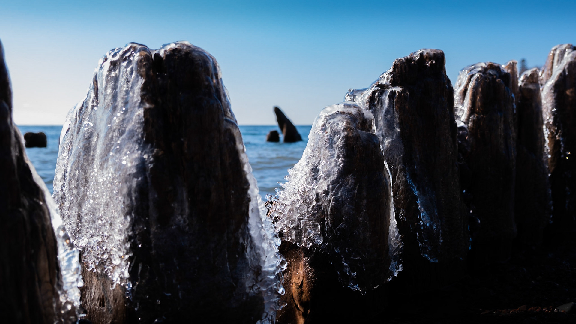 Old pilings covered in ice.