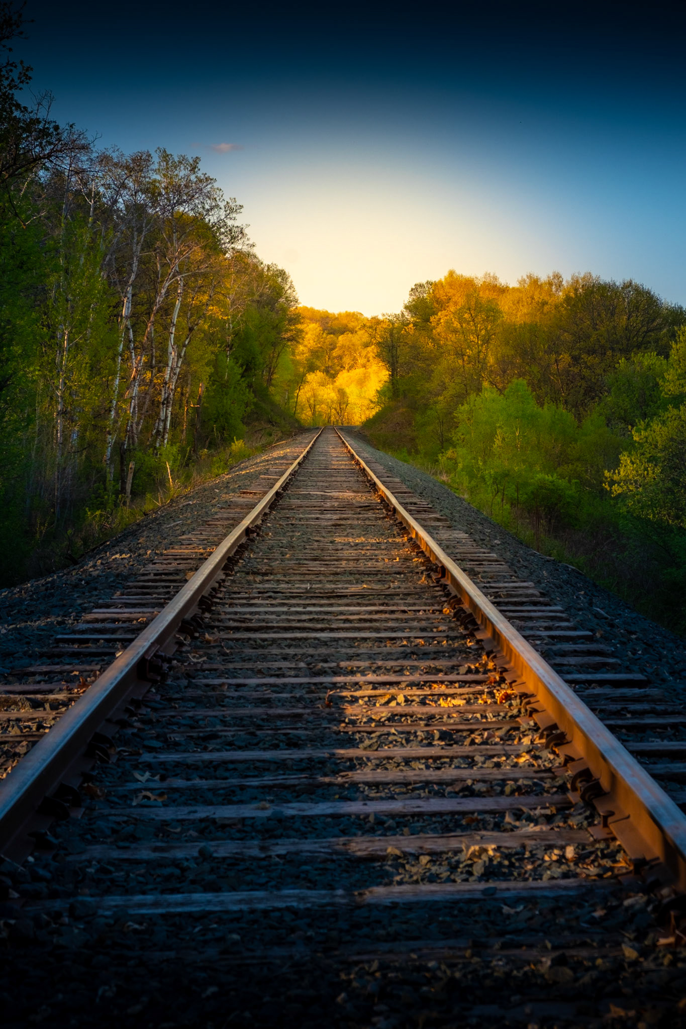 Any time I see a train track, I have to take a 1 point perspective shot. A little creative editing gave this shot some interest.