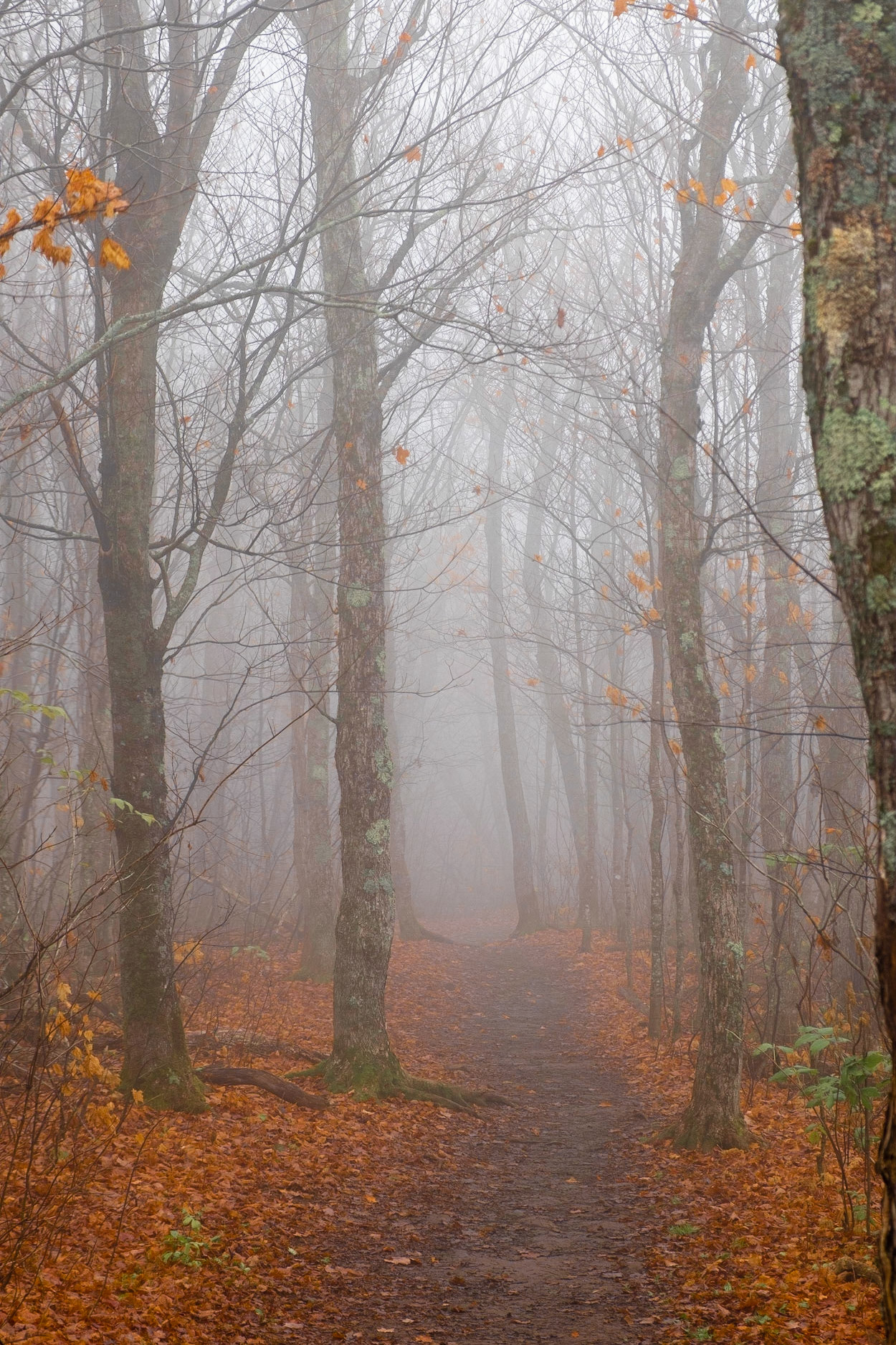 A little walk through Sleepy Hollow.